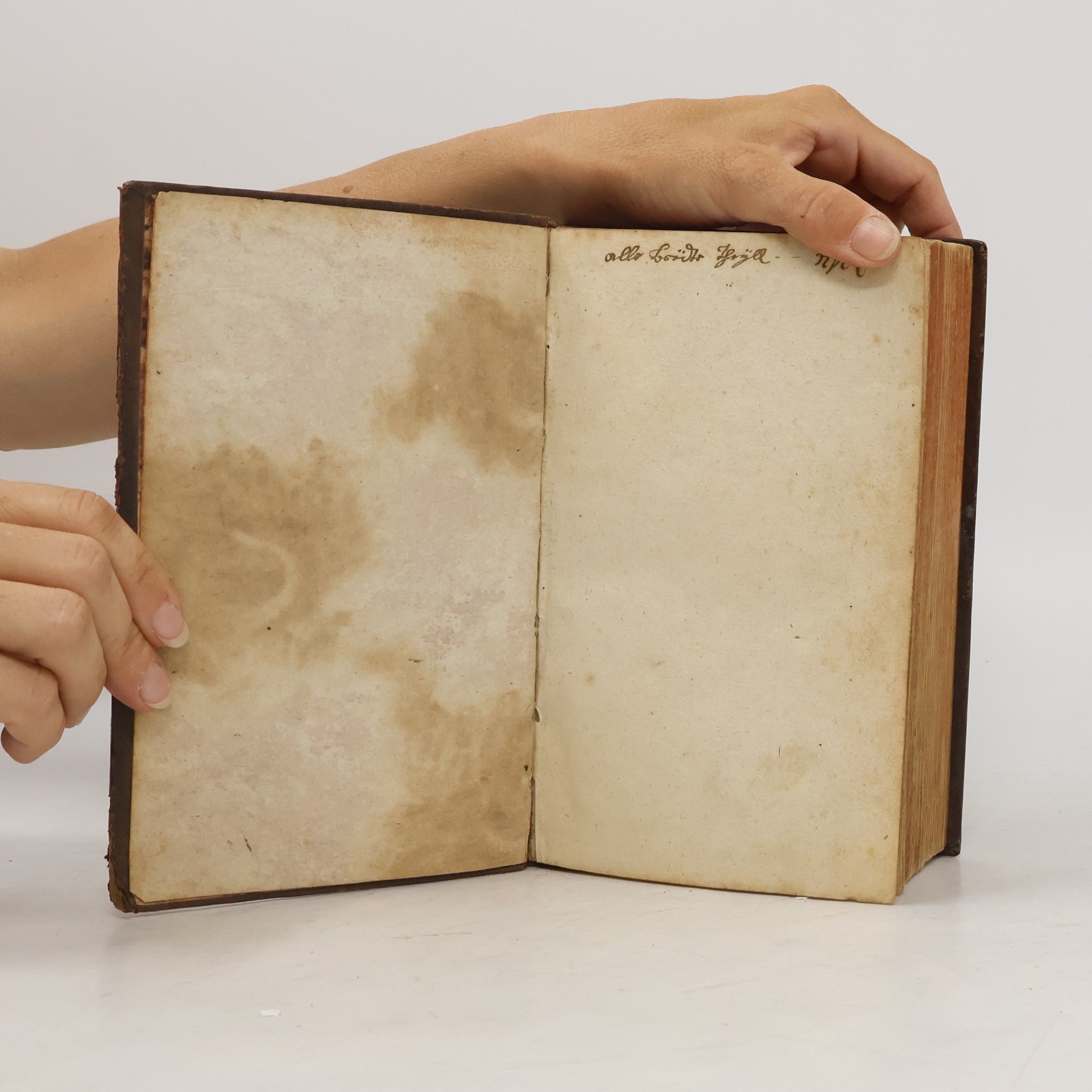 kolektiv Sacra Biblia