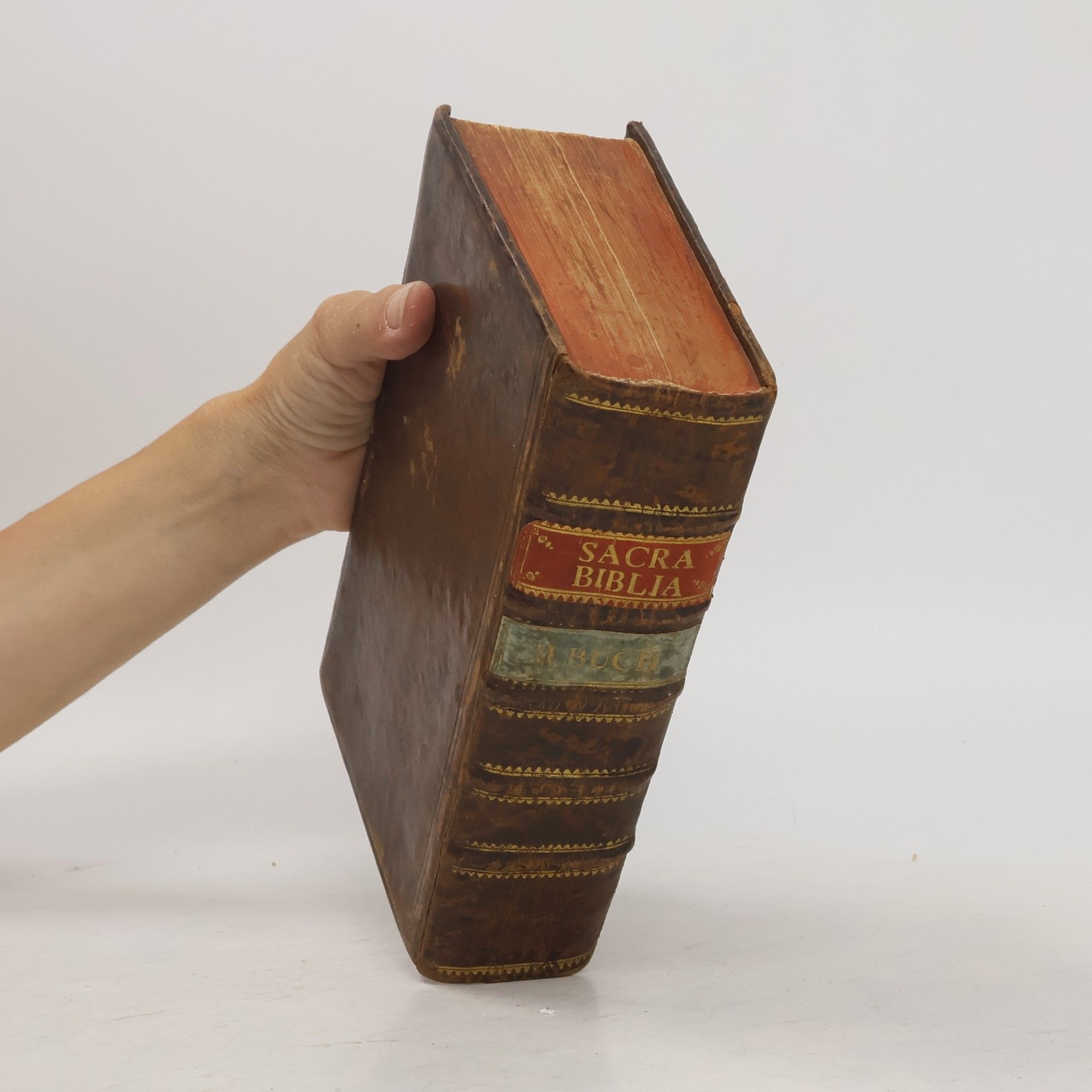 kolektiv Sacra Biblia