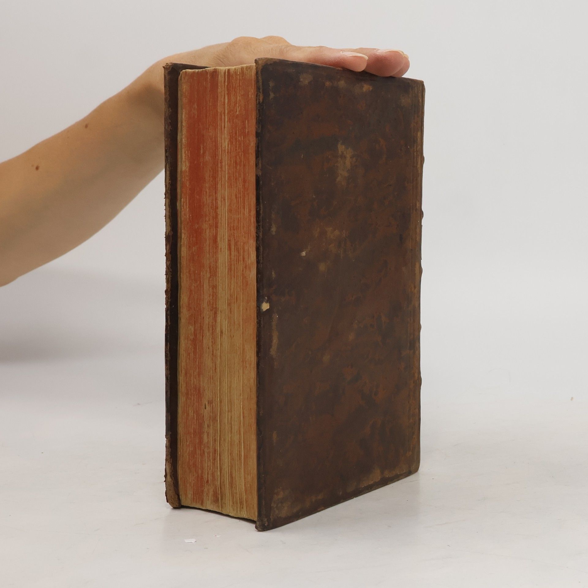 kolektiv Sacra Biblia