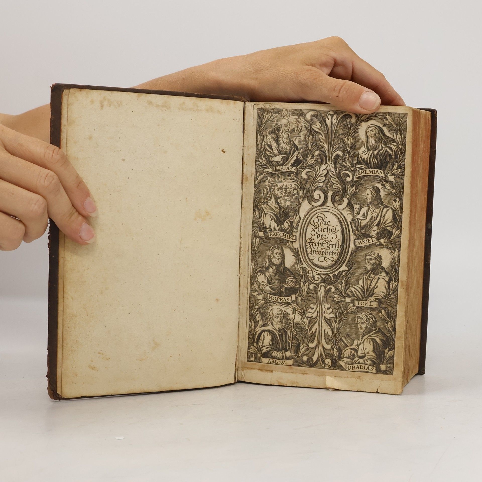 kolektiv Sacra Biblia