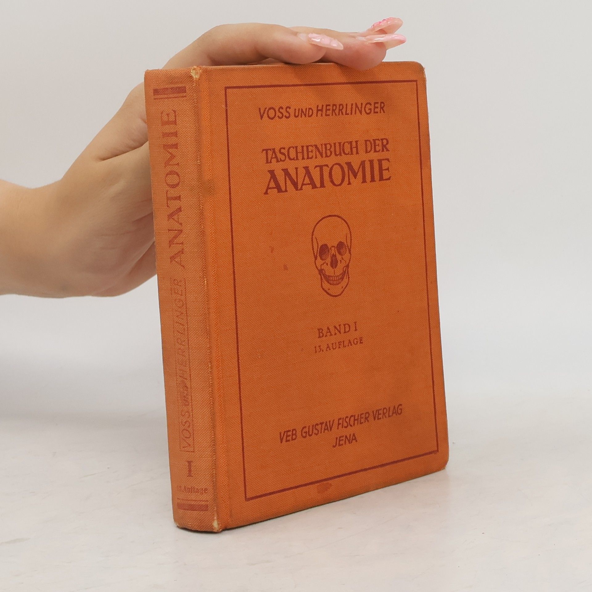 Hermann Voss Taschenbuch der Anatomie