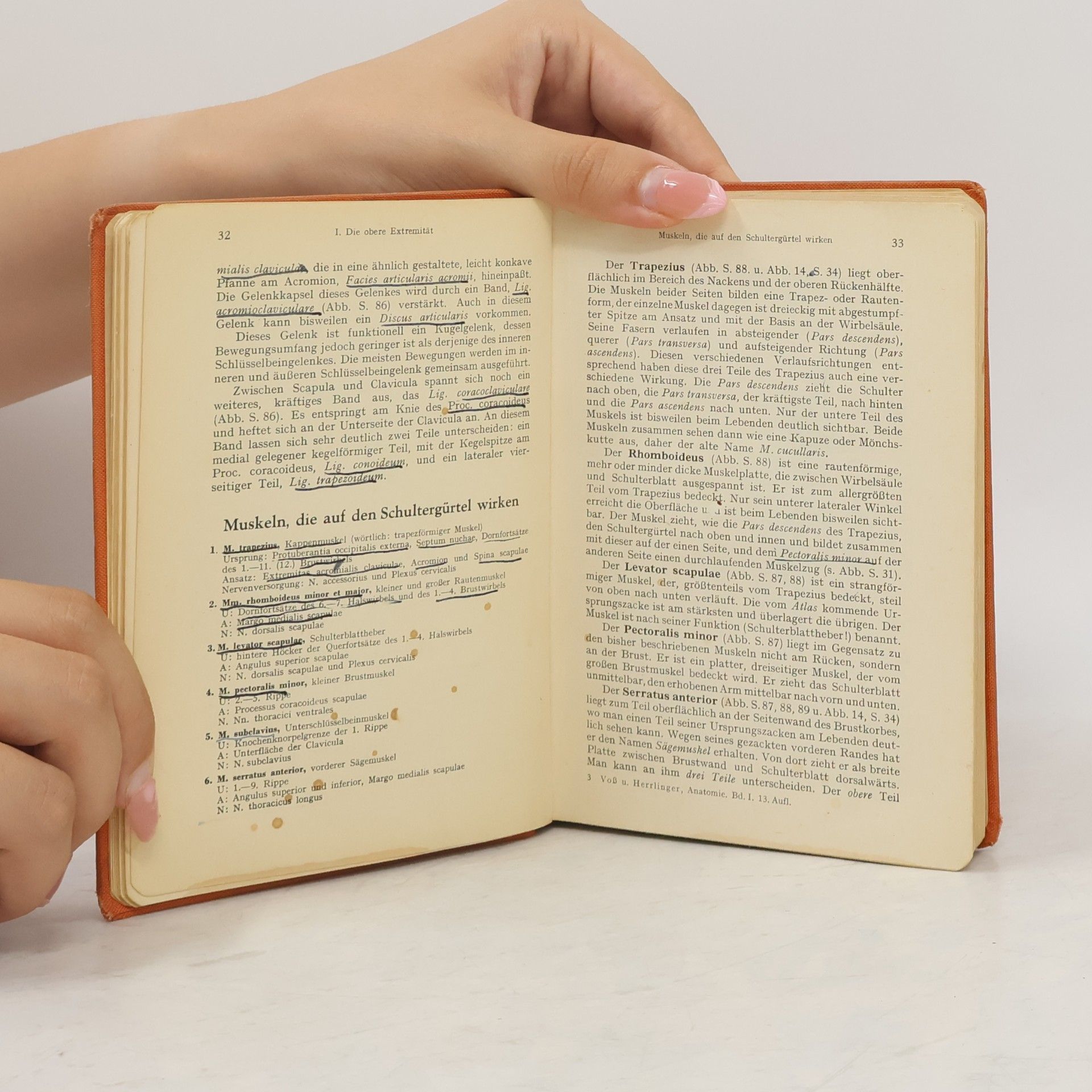 Hermann Voss Taschenbuch der Anatomie