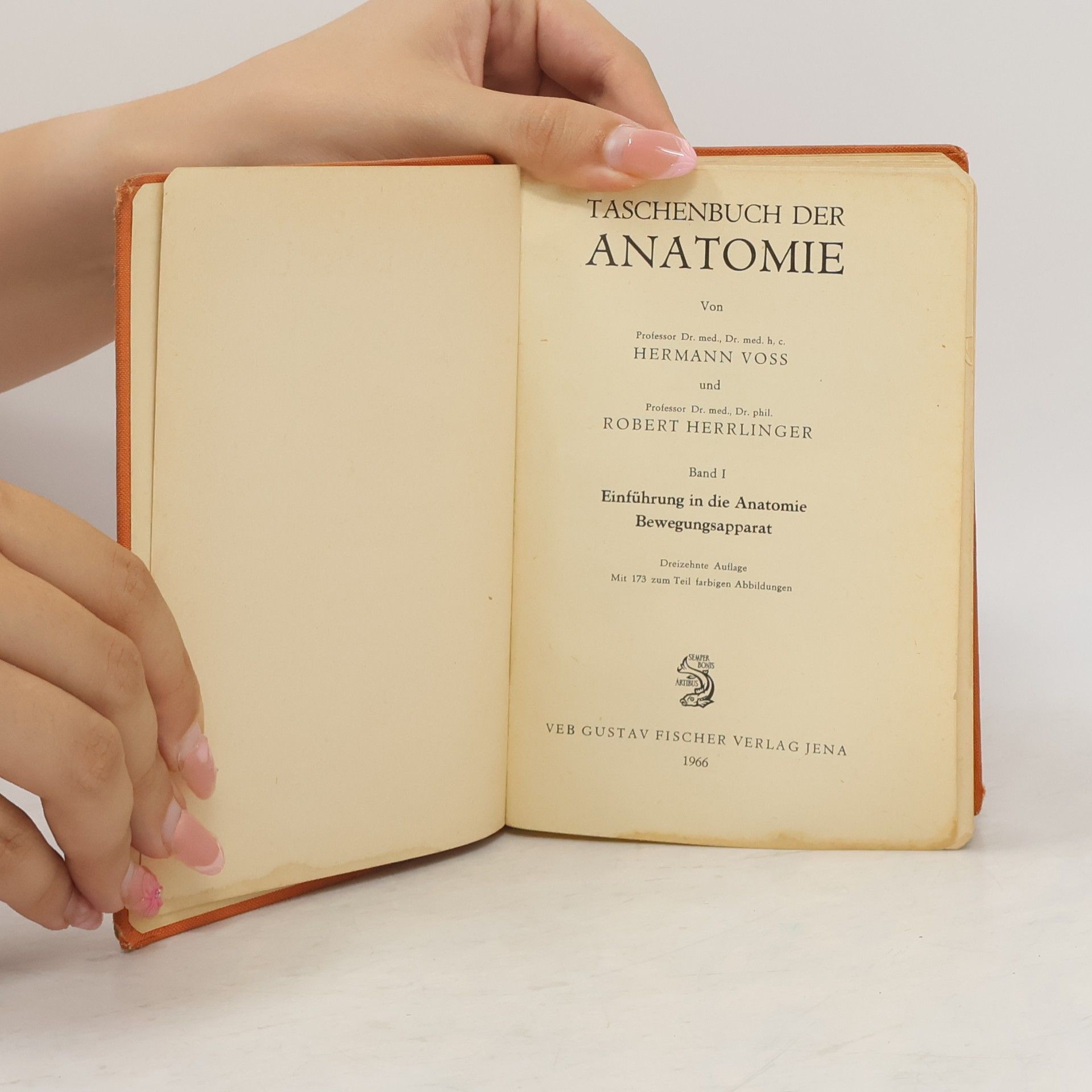Hermann Voss Taschenbuch der Anatomie
