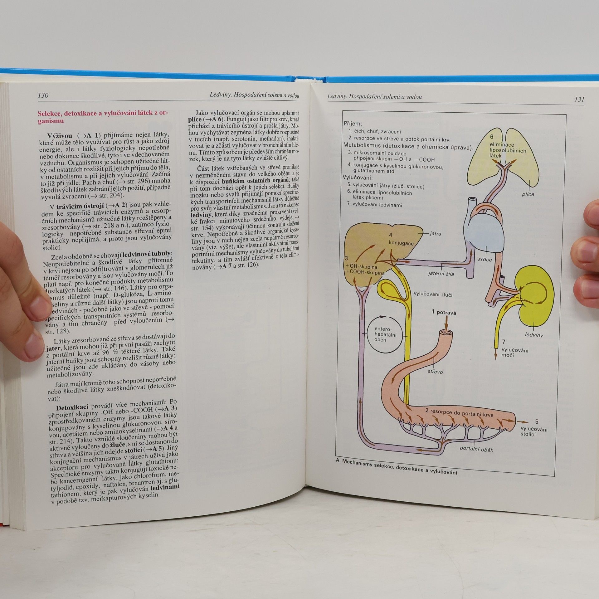 Stefan Silbernagl Atlas fyziologie člověka