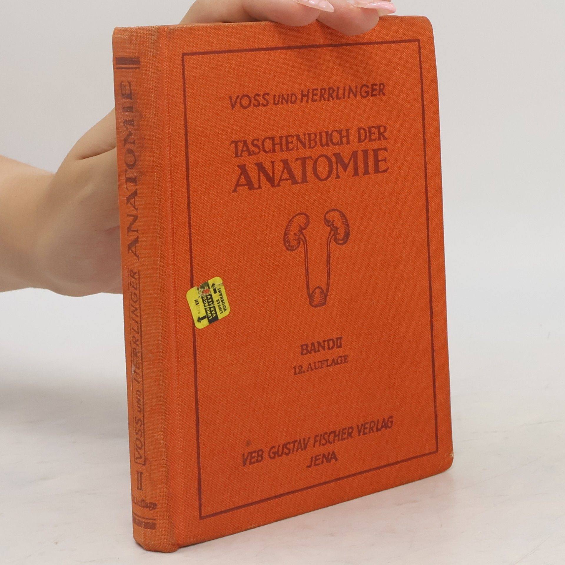 Hermann Voss Taschenbuch der Anatomie