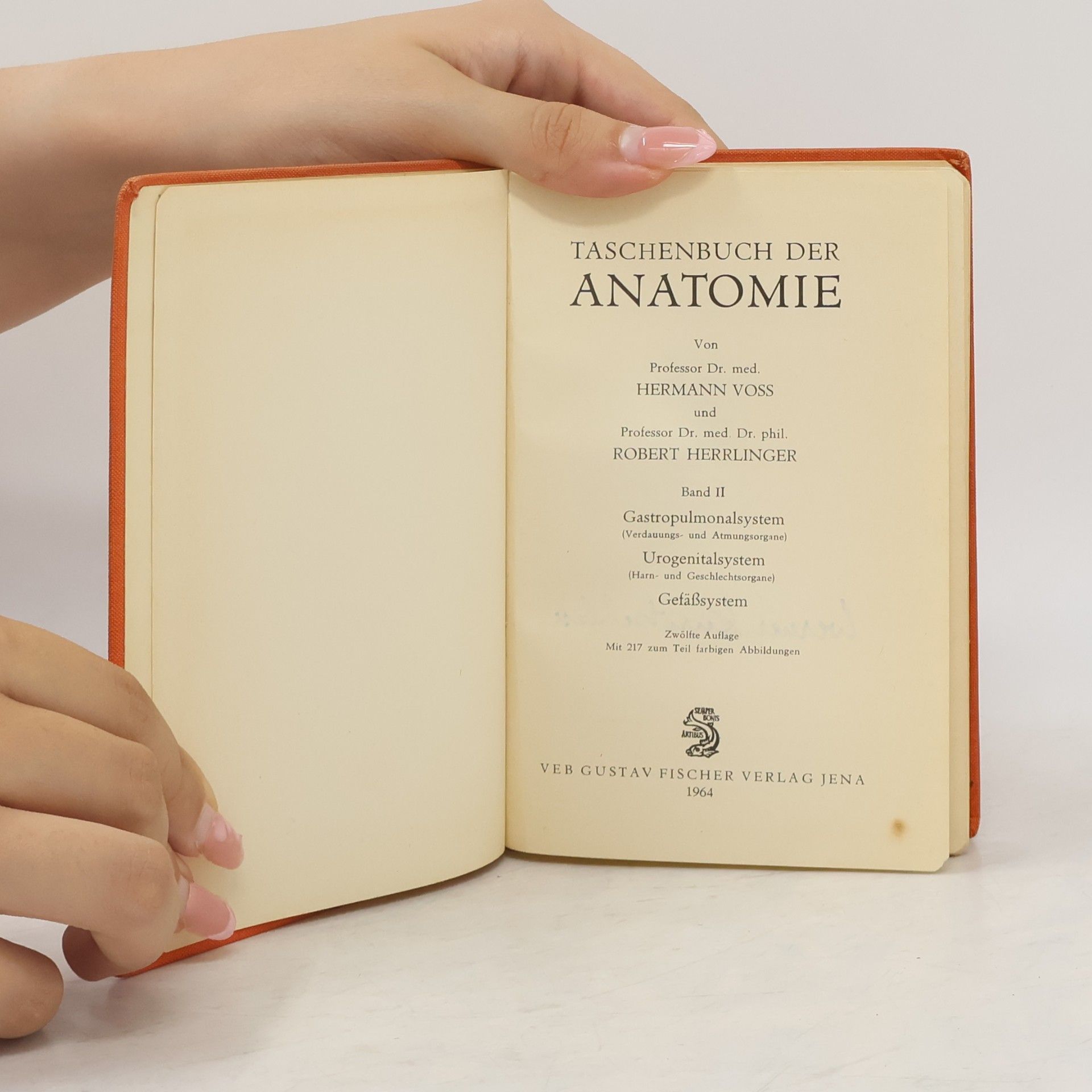 Hermann Voss Taschenbuch der Anatomie