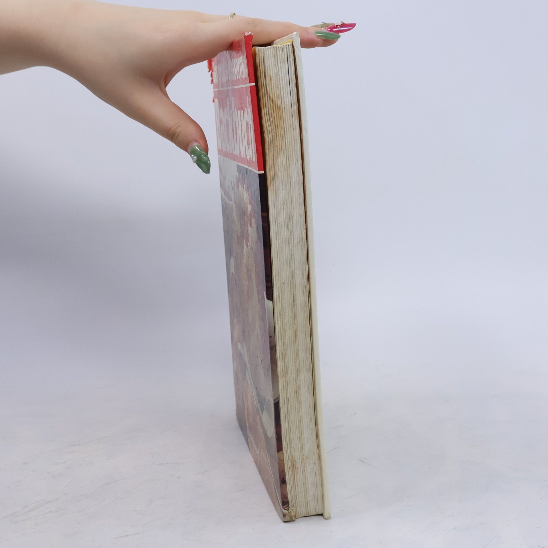 Monika Schumacher Das grosse Bassermann-Backbuch