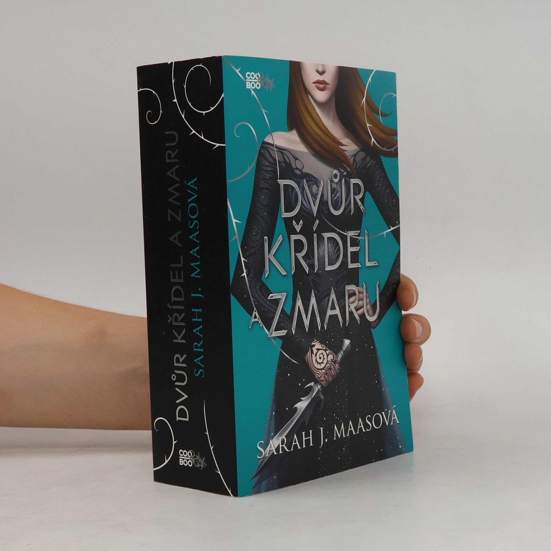 Sarah J. Maas Dvůr křídel a zmaru