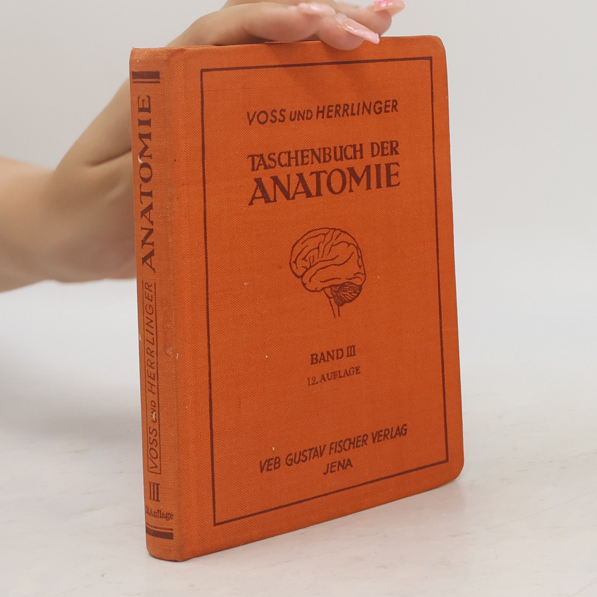 Robert Herrlinger Taschenbuch der Anatomie II