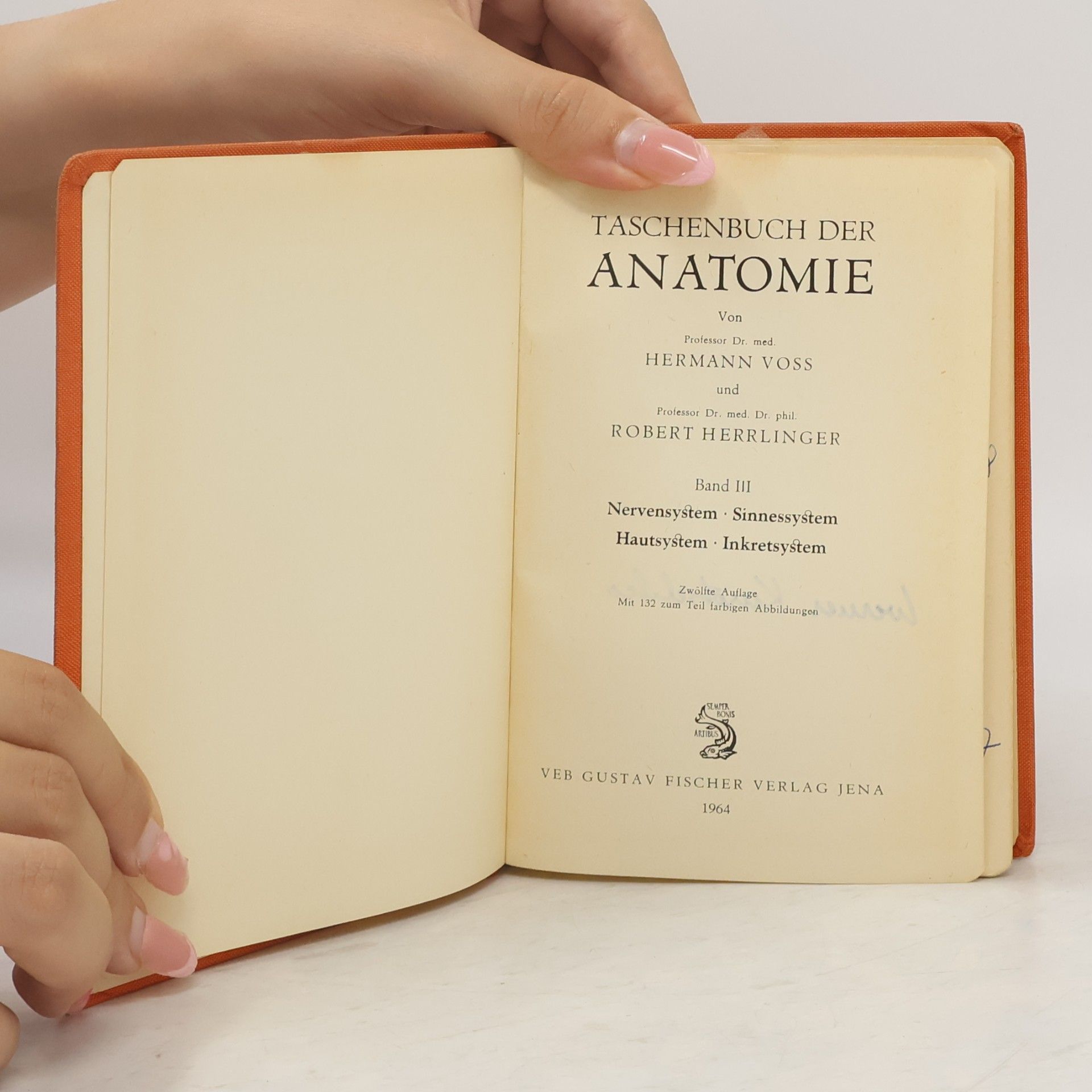 Hermann Voss Taschenbuch der Anatomie II