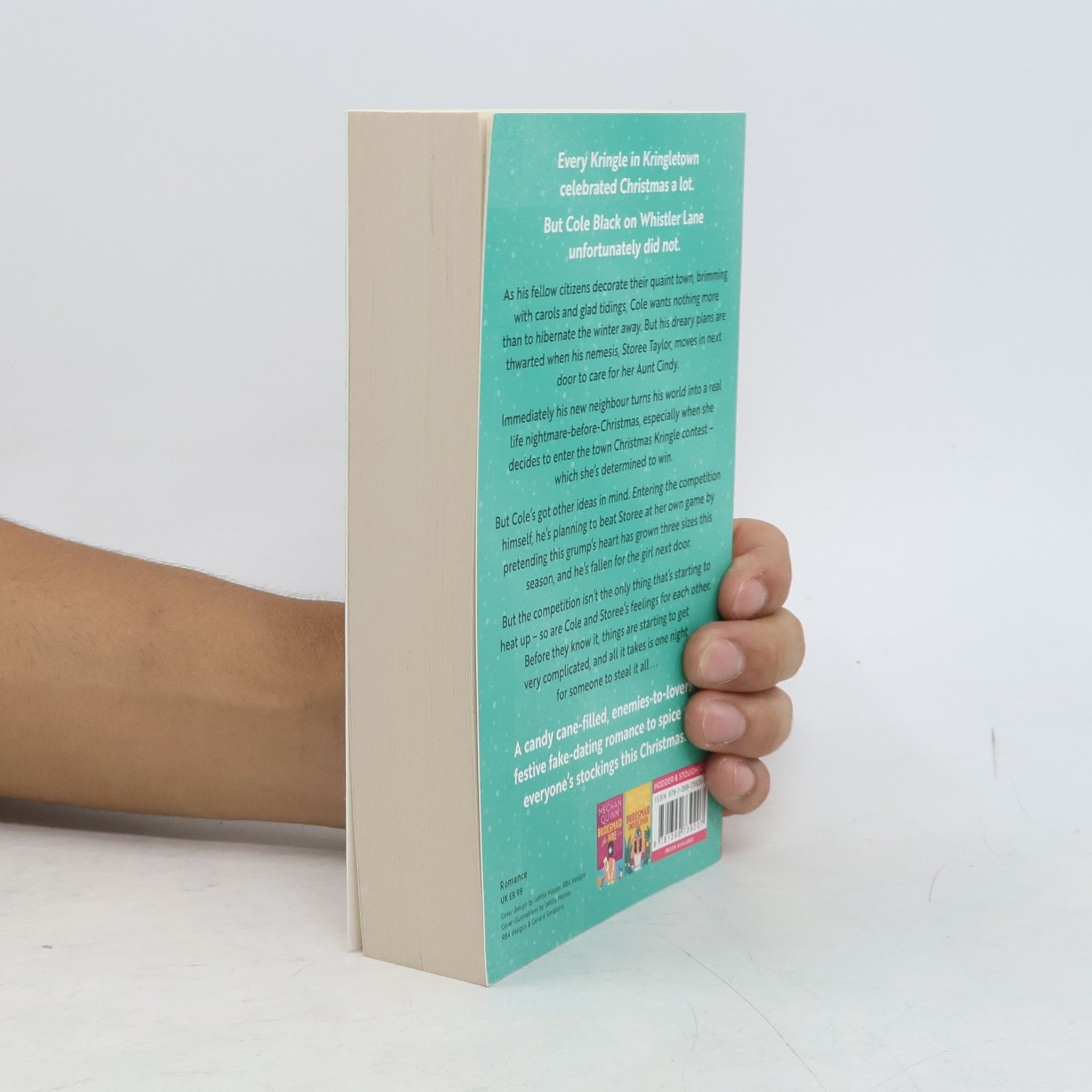 Meghan Quinn How My Neighbour Stole Christmas