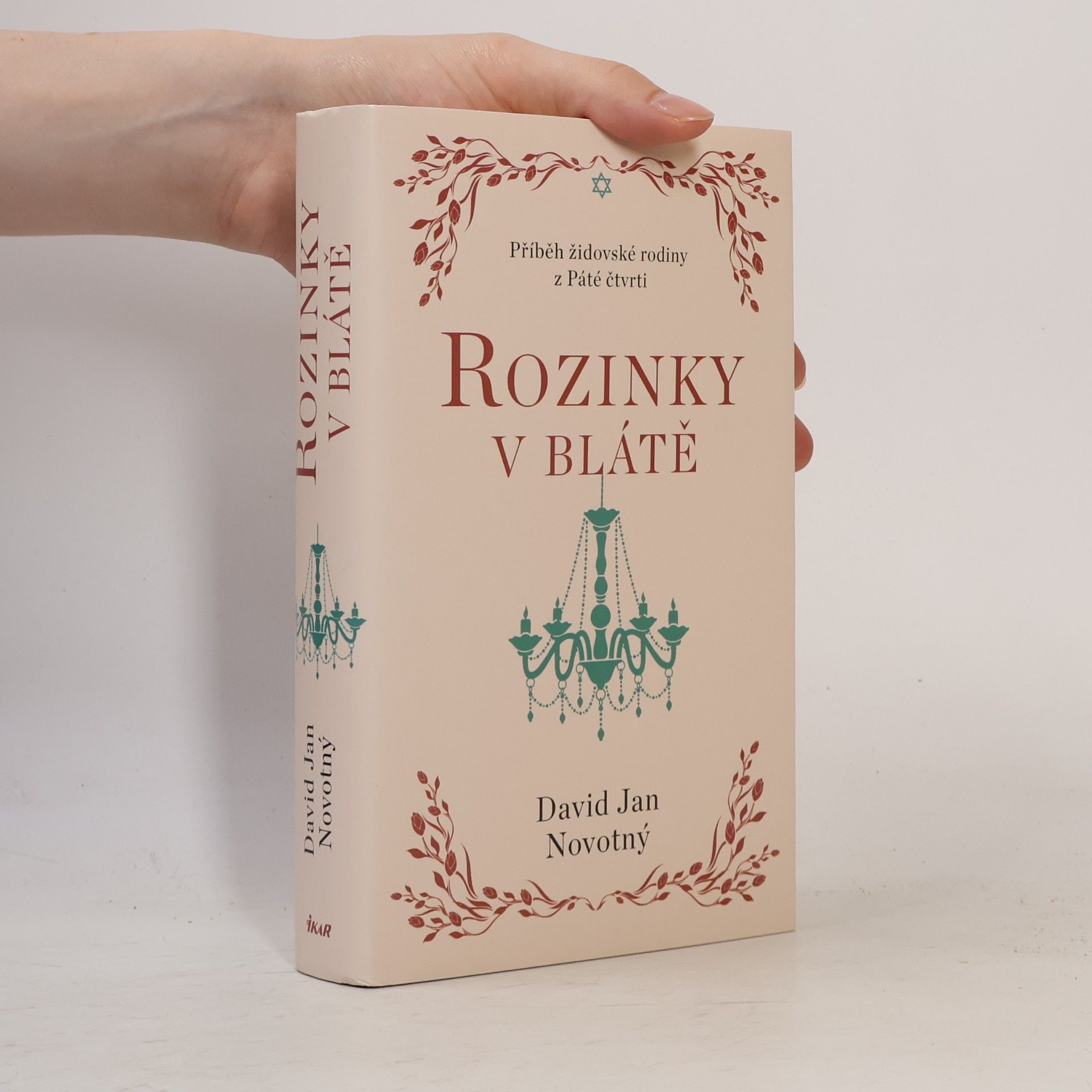 David Jan Novotný Rozinky v blátě
