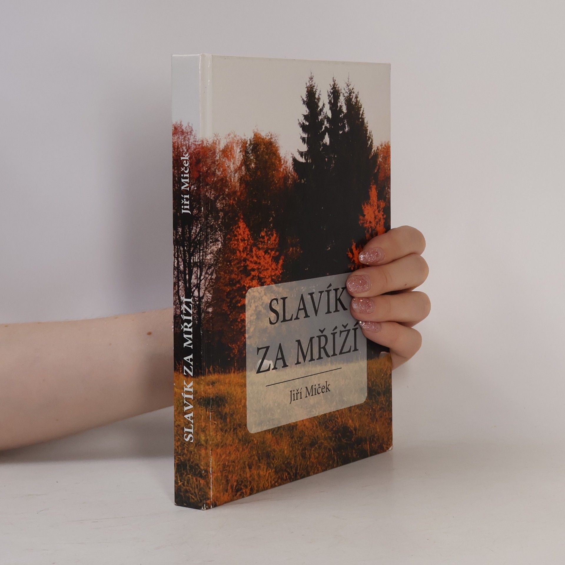 Jiří Miček Slavík za mříží