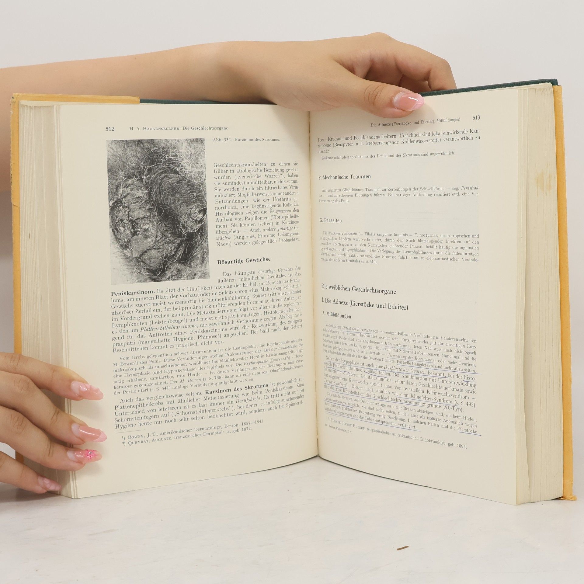 Louis-Heinz Kettler Lehrbuch der speziellen Pathologie