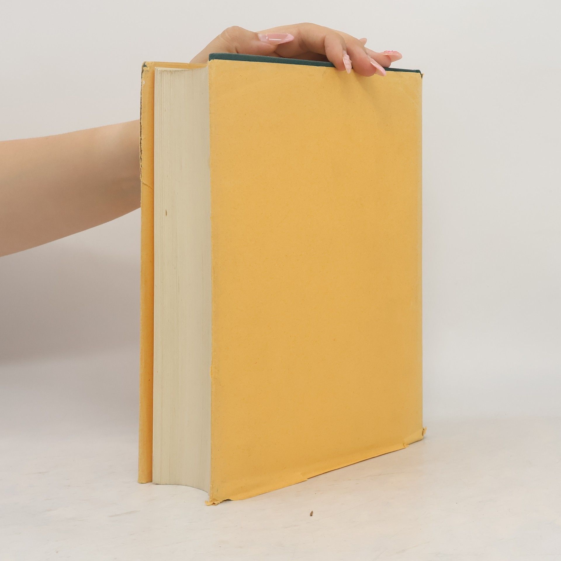 Louis-Heinz Kettler Lehrbuch der speziellen Pathologie