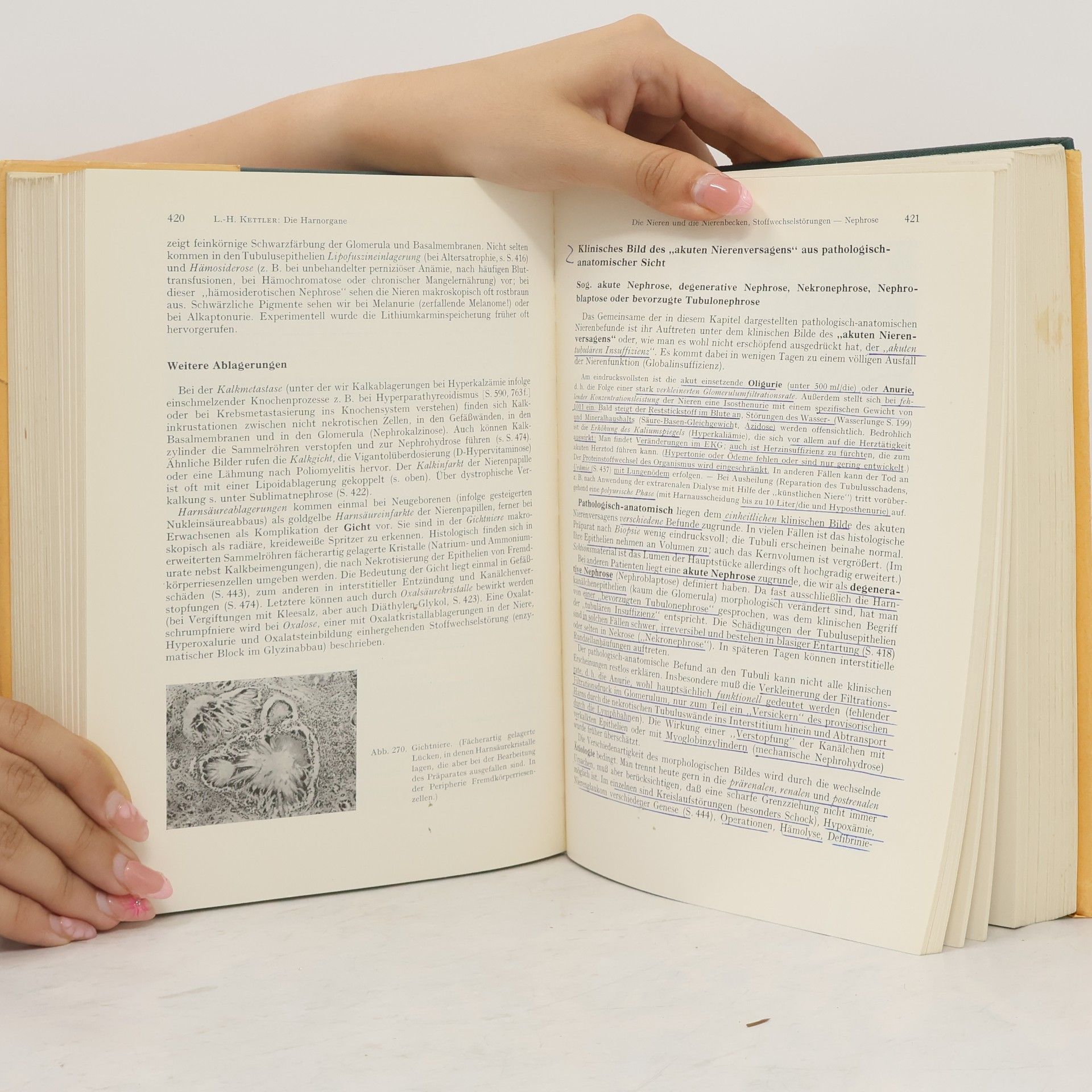 Louis-Heinz Kettler Lehrbuch der speziellen Pathologie