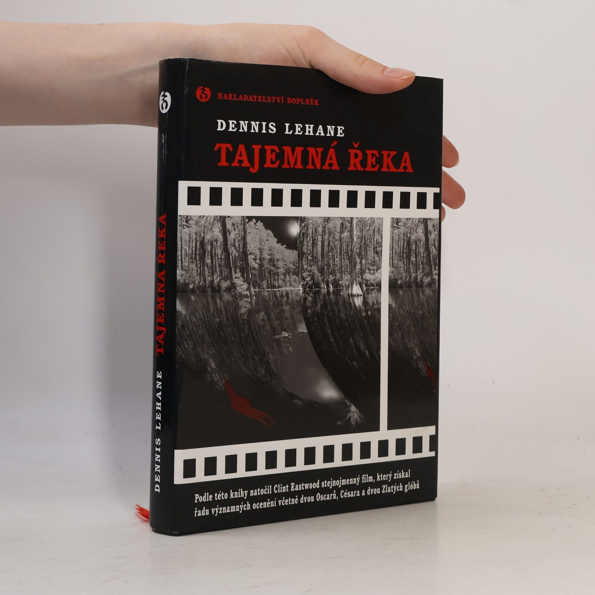 Dennis Lehane Tajemná řeka