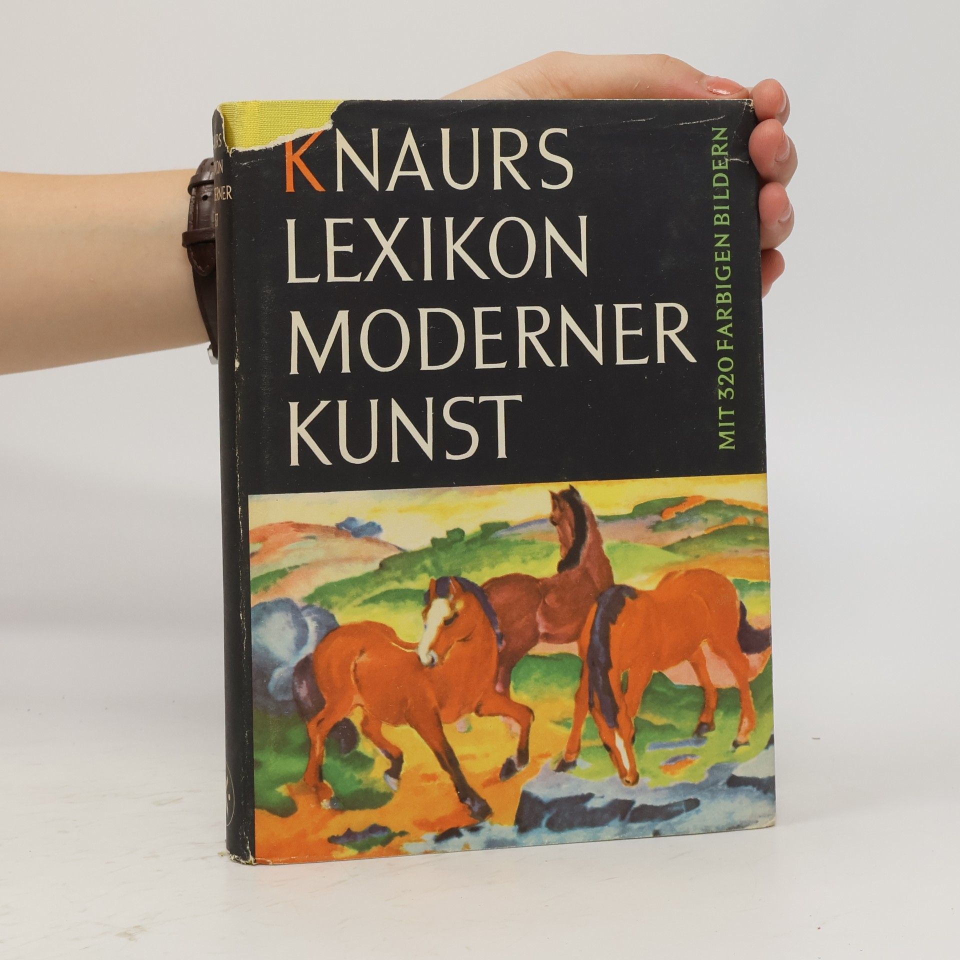 Lothar-Günther Buchheim Knaurs Lexikon moderner Kunst
