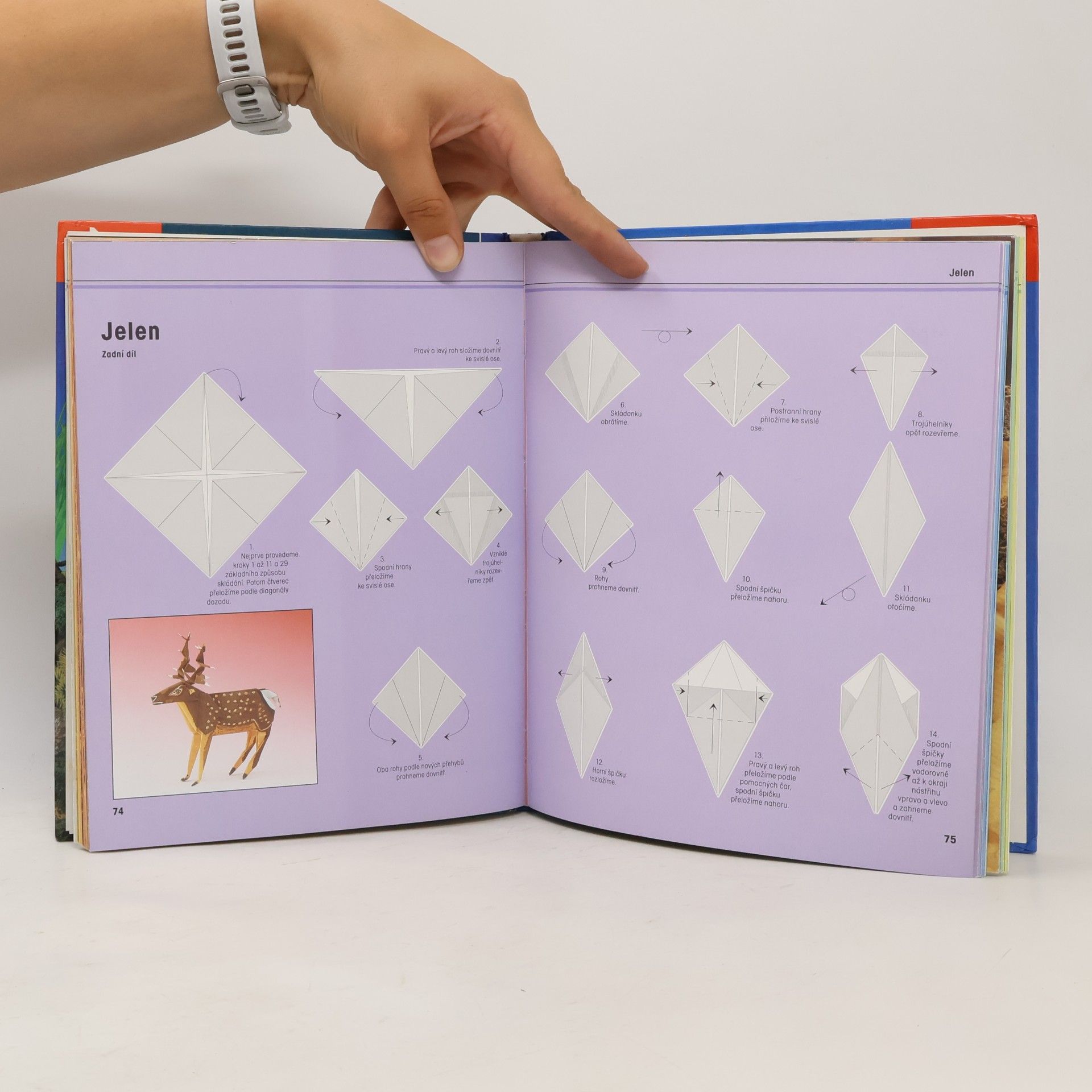 Héctor Rojas F Fascinující svět origami zvířátek