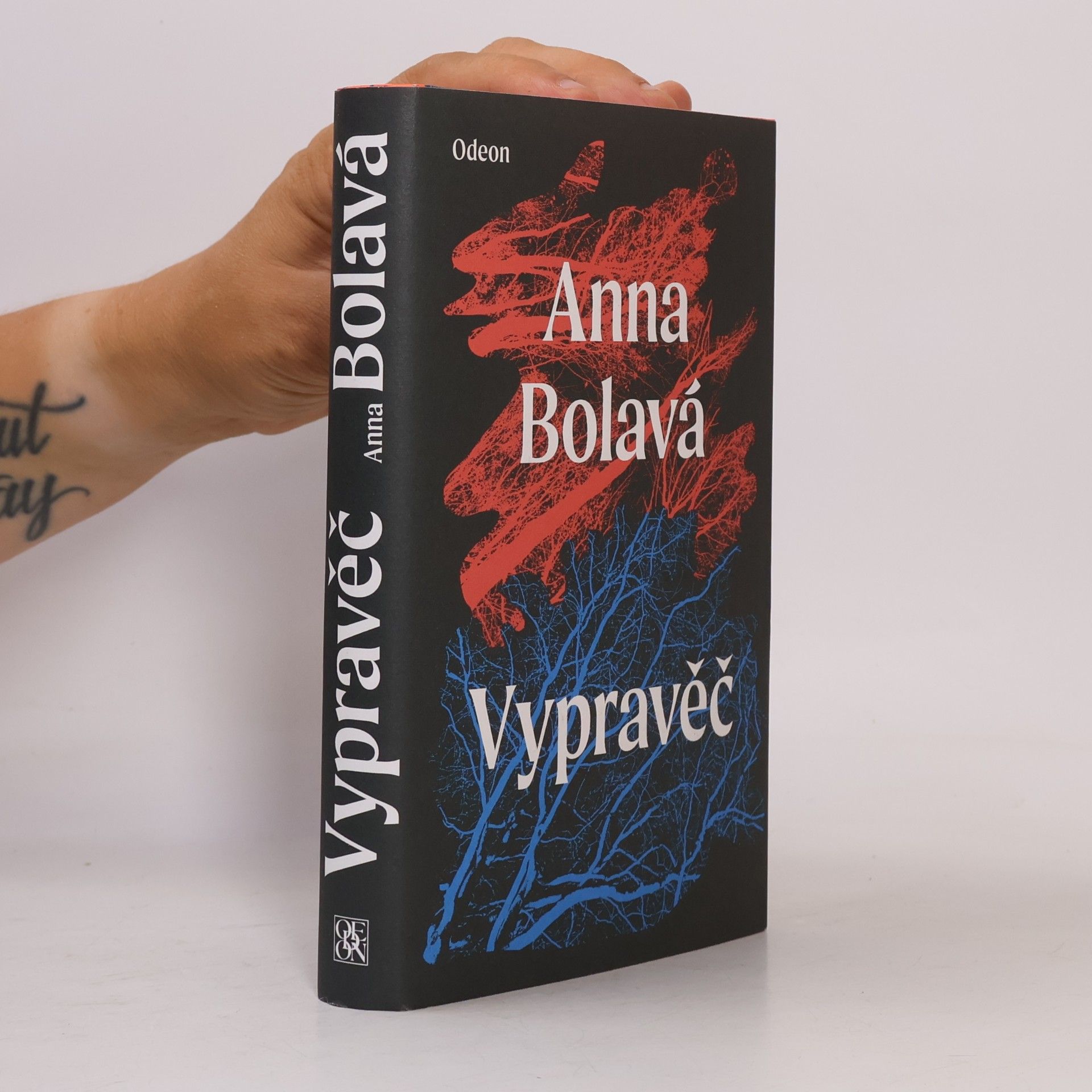 Anna Bolavá Vypravěč