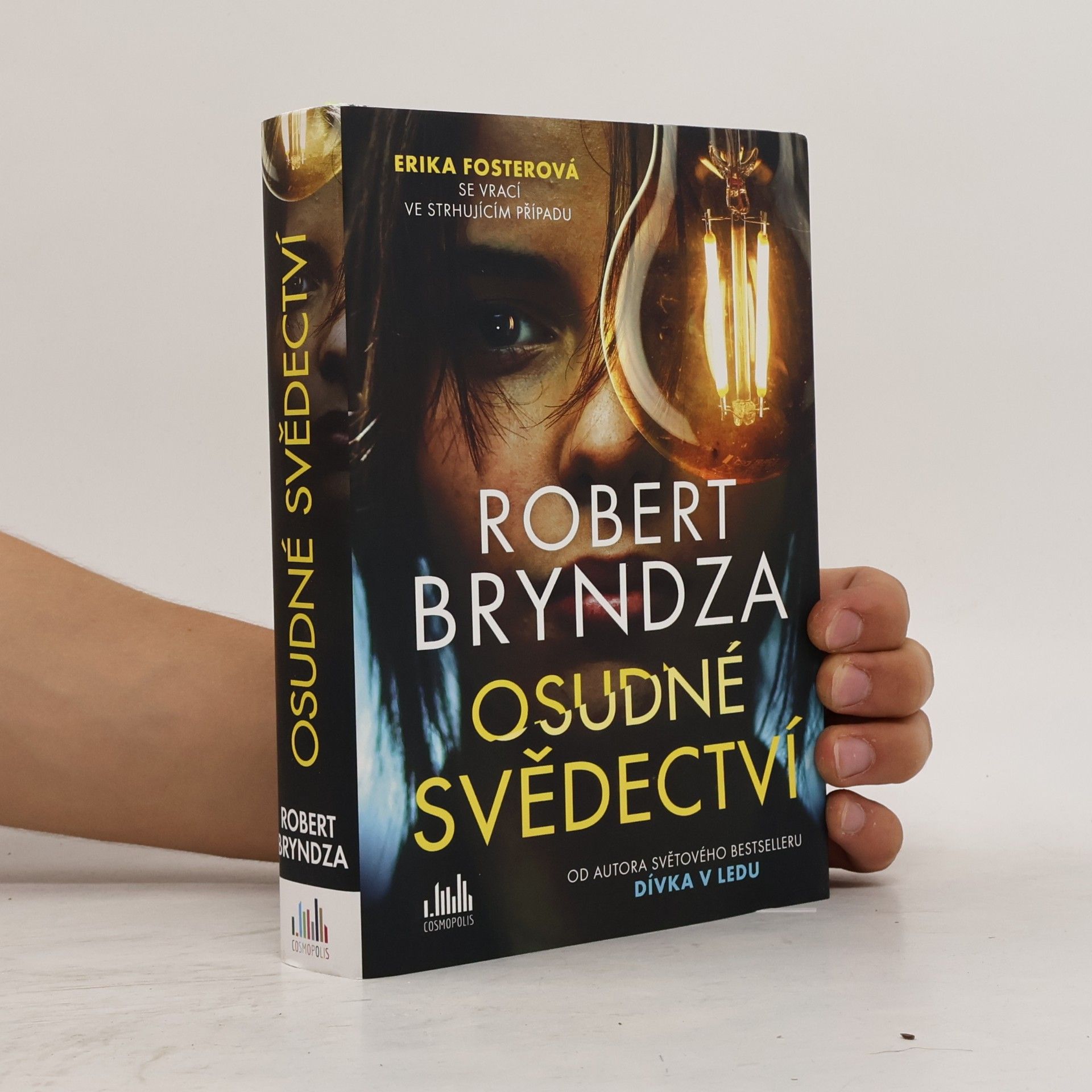 Robert Bryndza Osudné svědectví