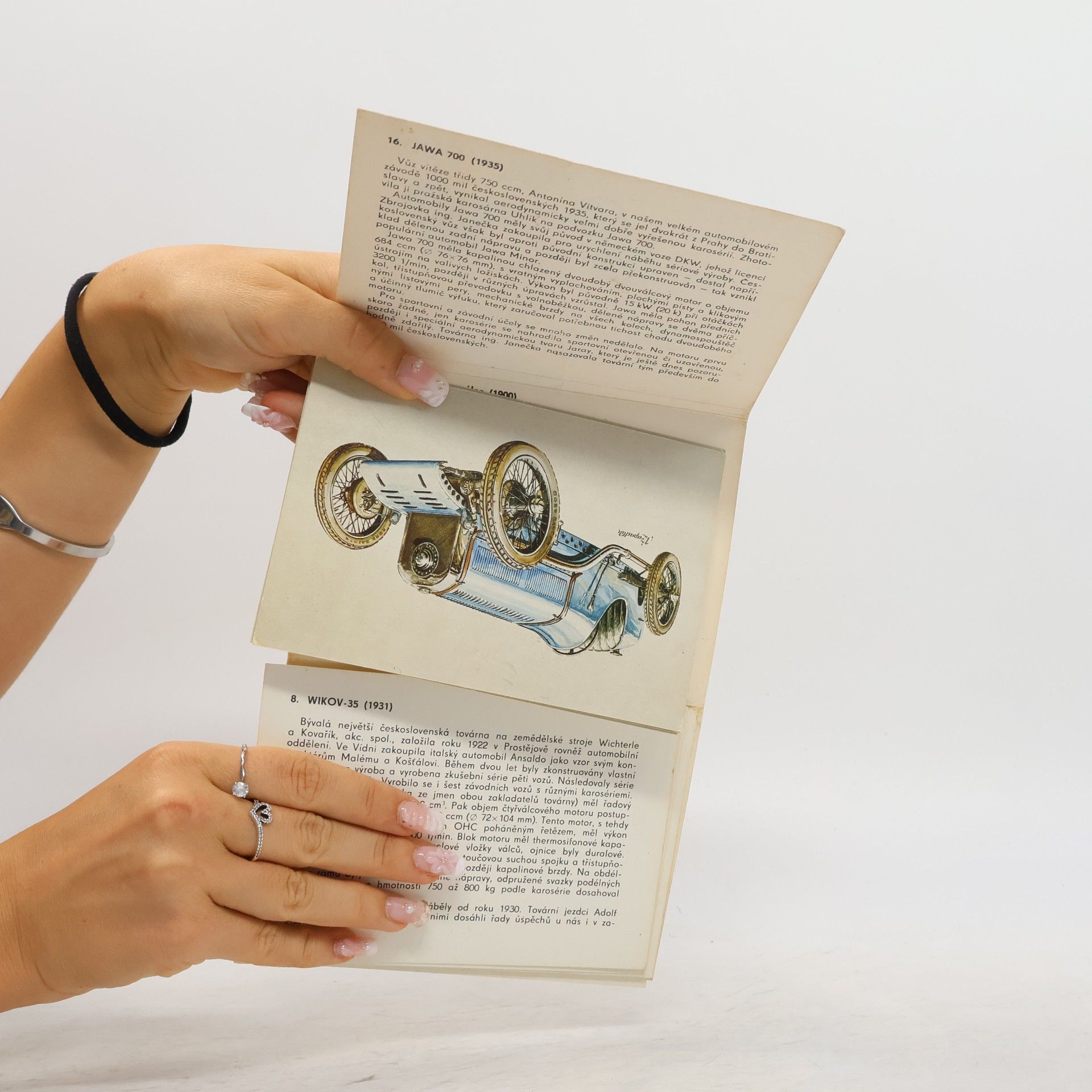kolektiv Čs. závodní a sportovní automobily 1900-1950