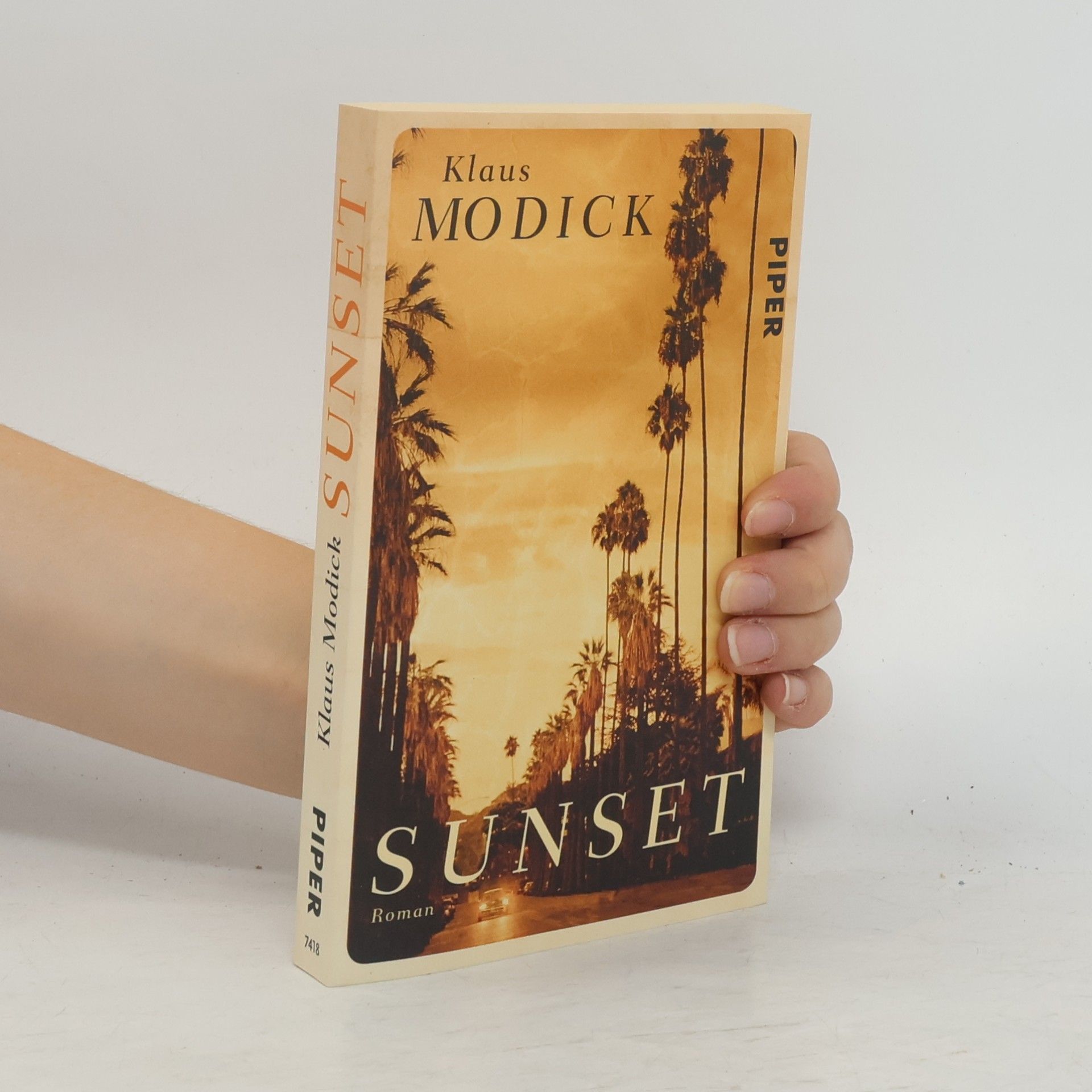 Klaus Modick Sunset