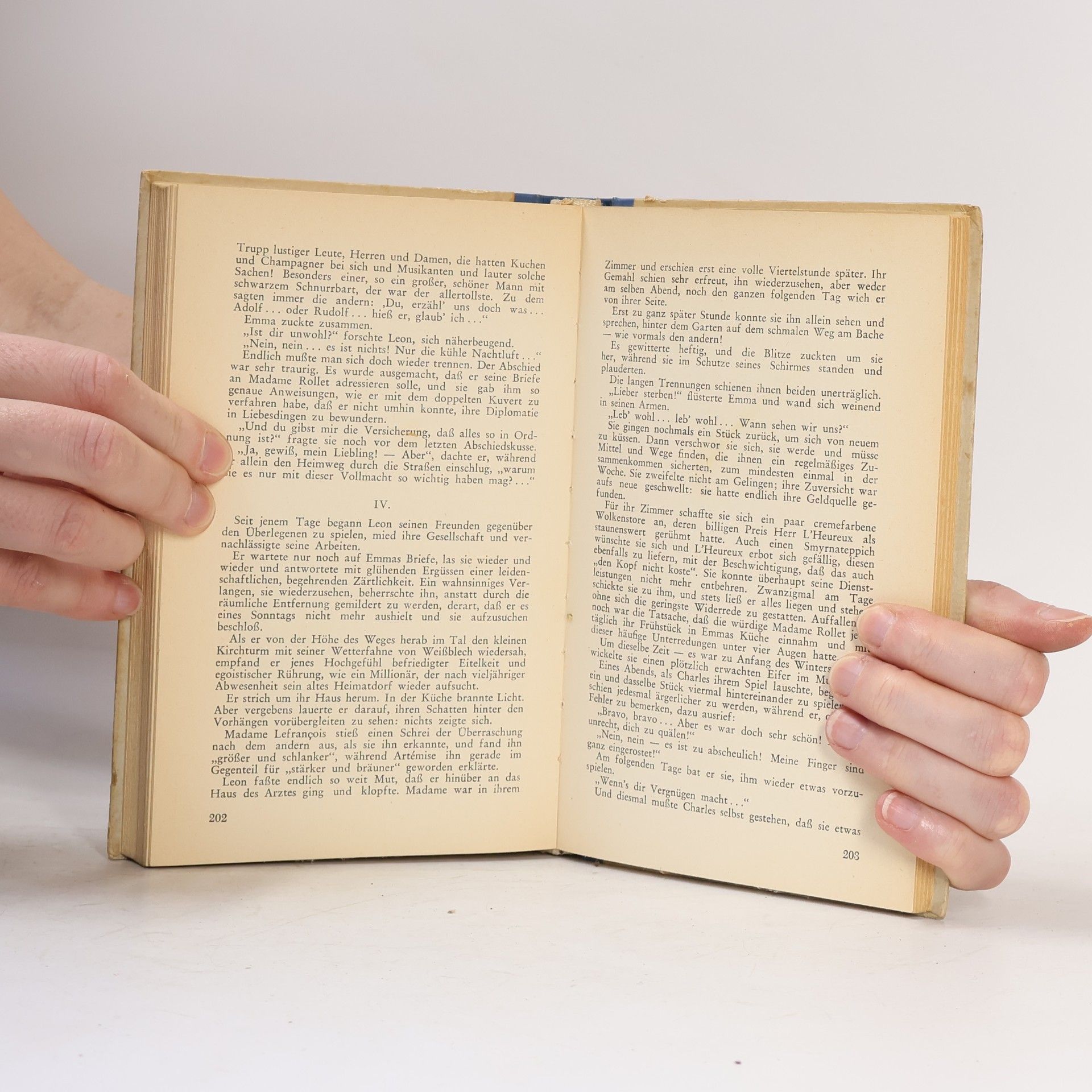 Gustave Flaubert Madame Bovary