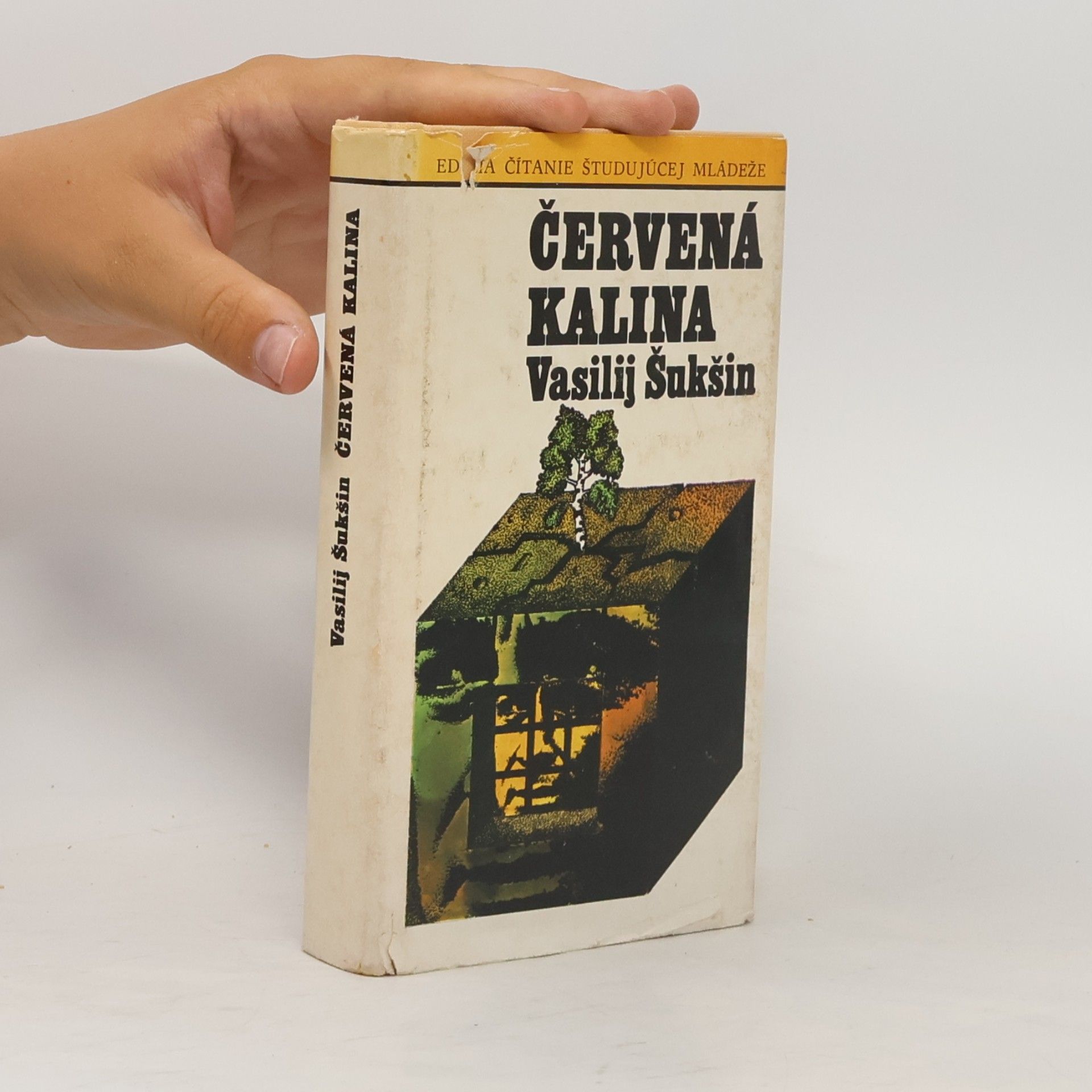 Wassili Makarowitsch Schukschin Červená kalina