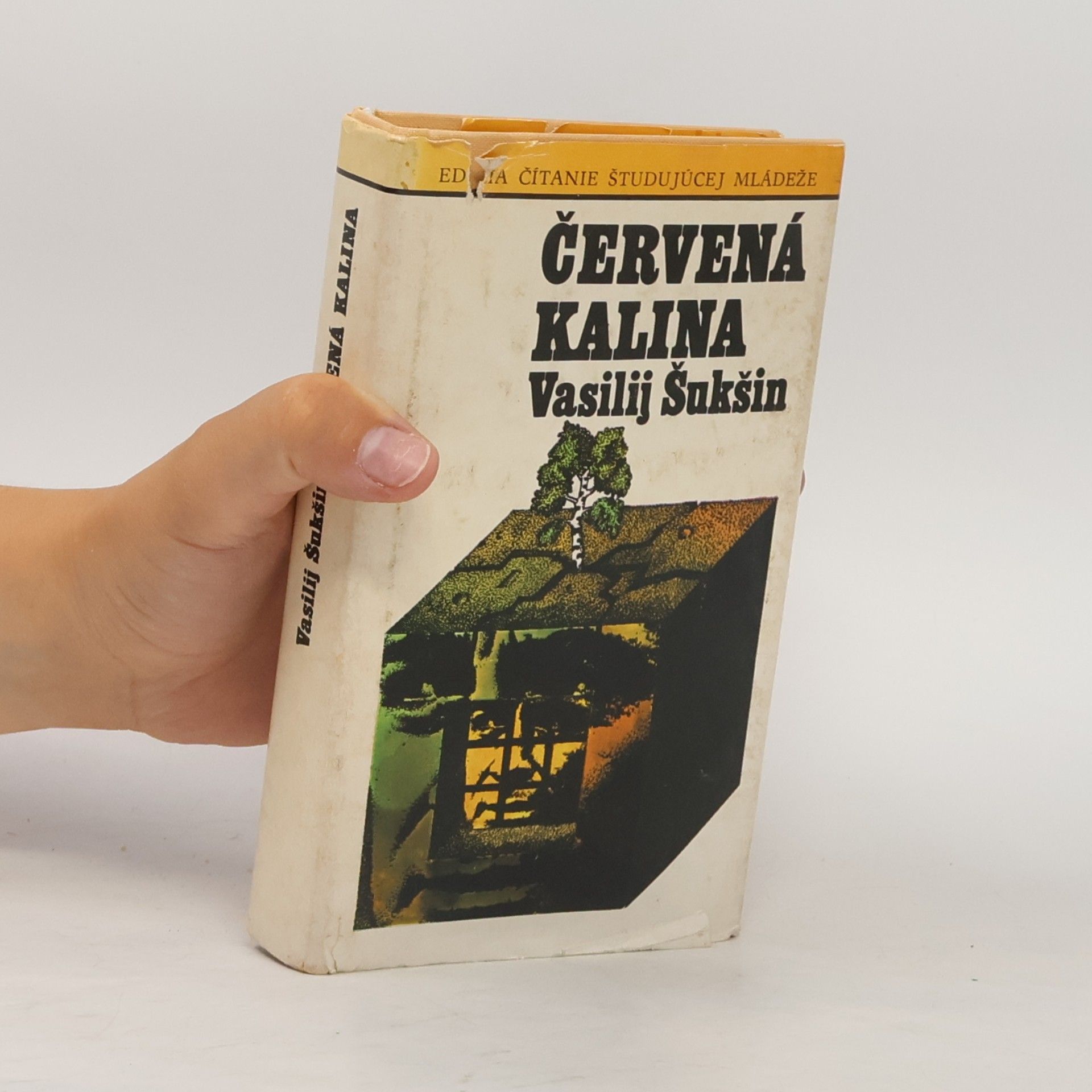 Wassili Makarowitsch Schukschin Červená kalina