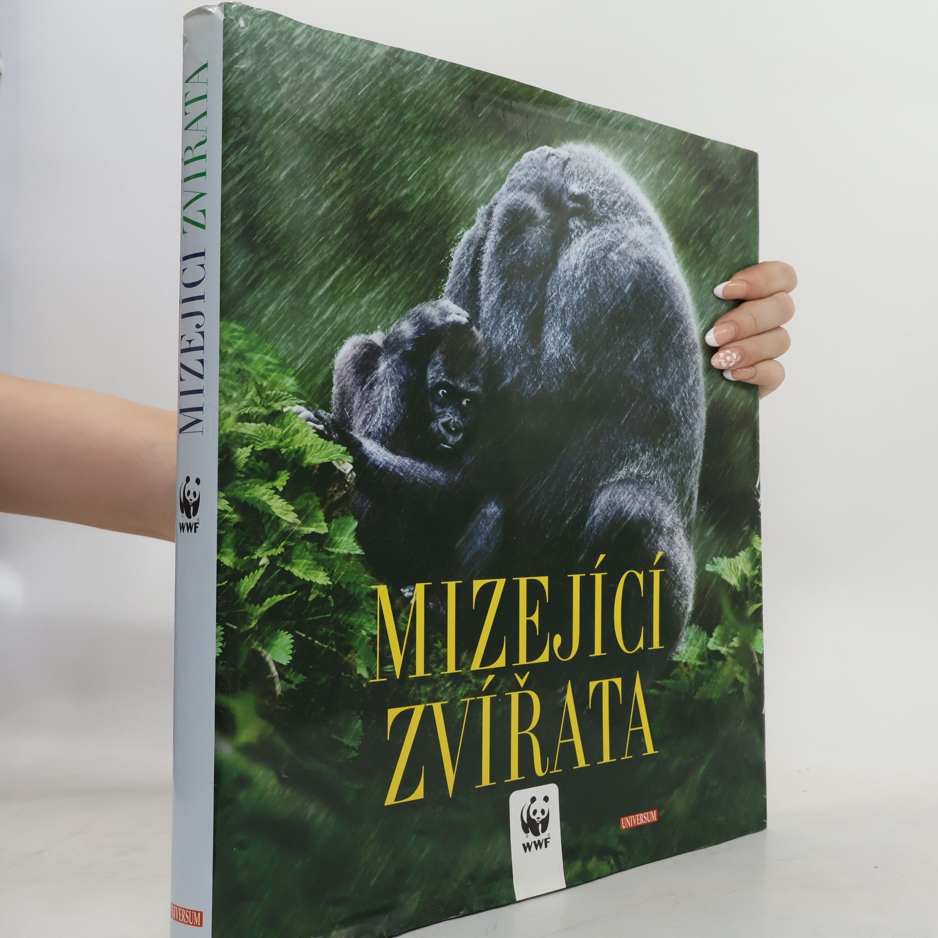 Valeria Manferto De Fabianis Mizející zvířata