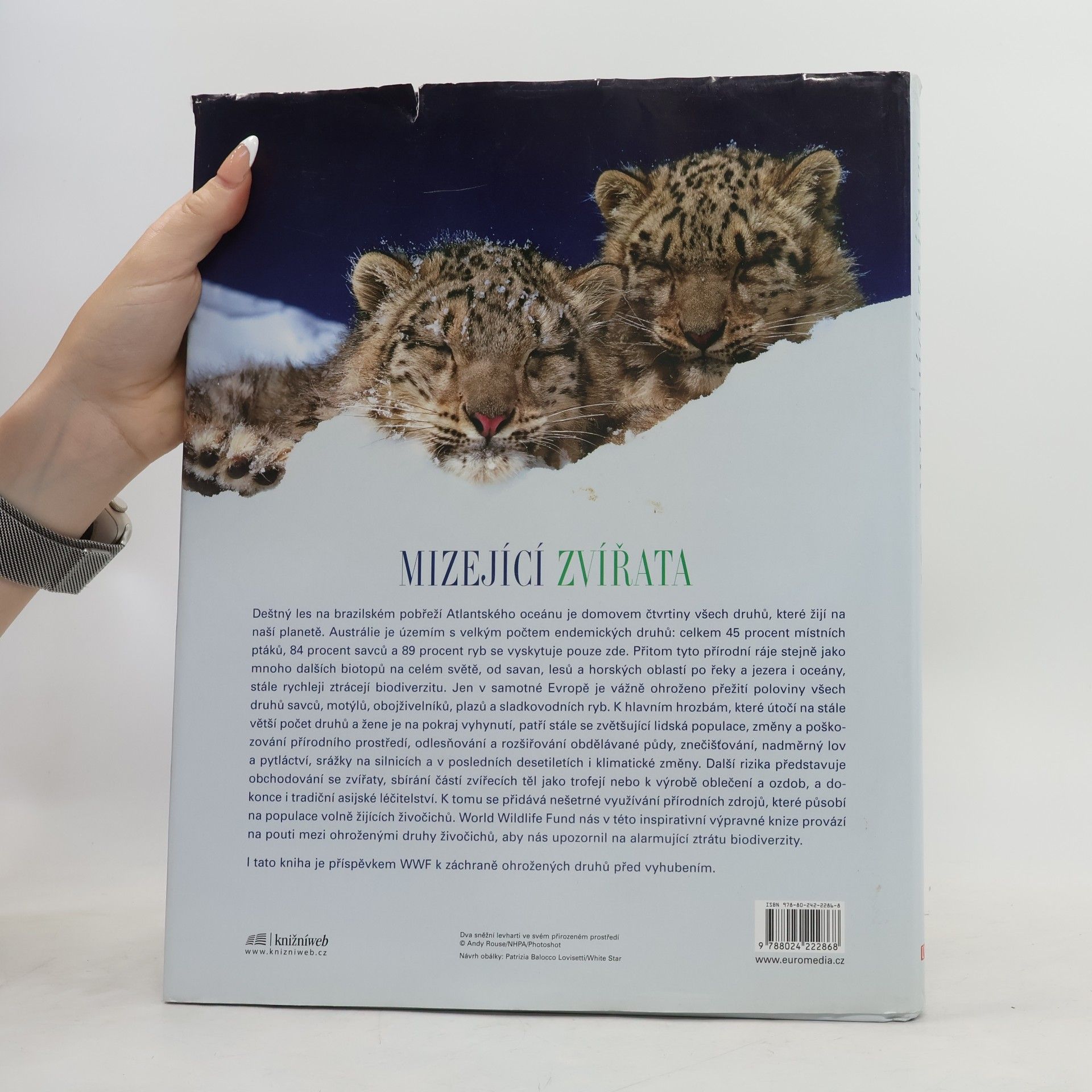 Valeria Manferto De Fabianis Mizející zvířata