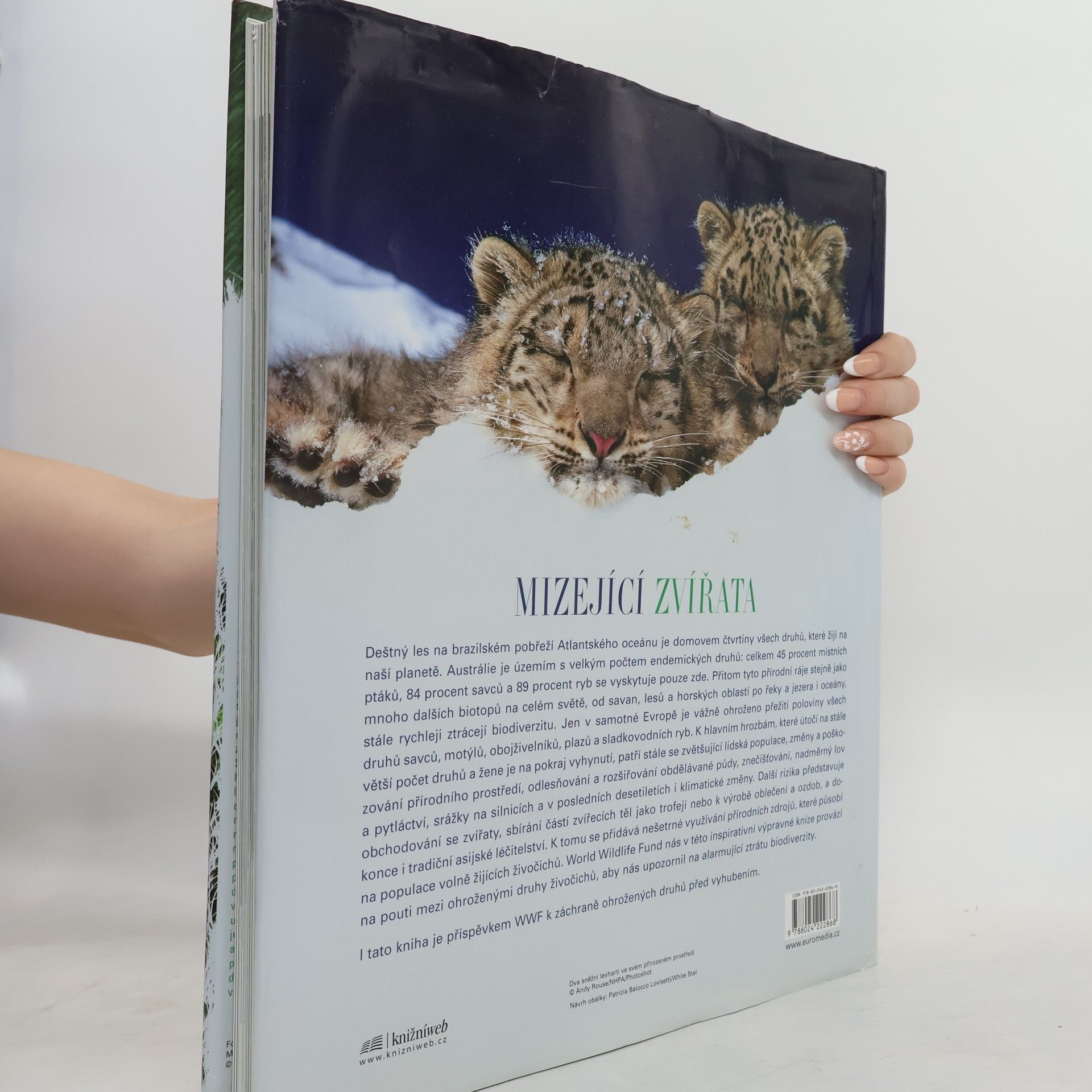 Valeria Manferto De Fabianis Mizející zvířata