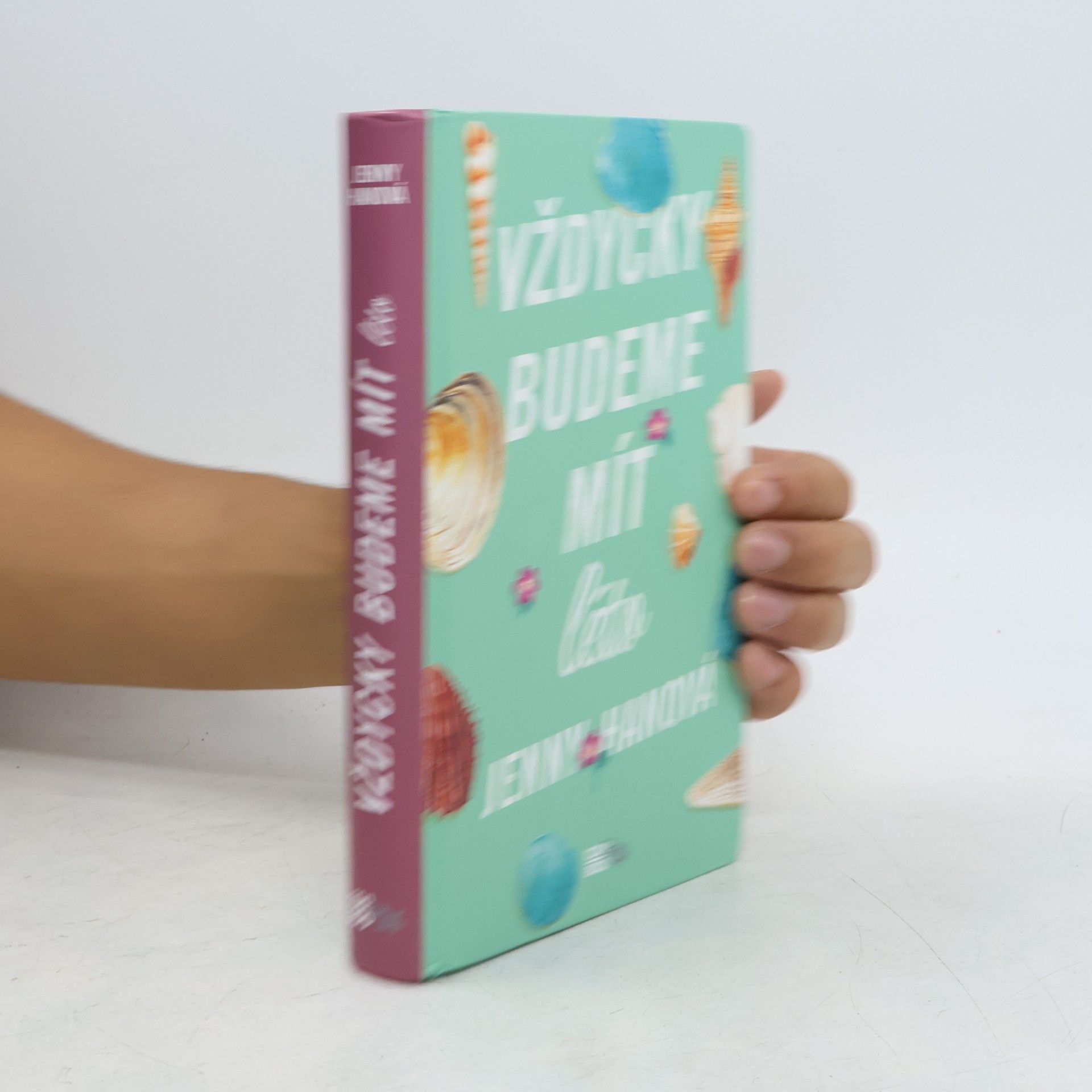 Jenny Han Vždycky budeme mít léto