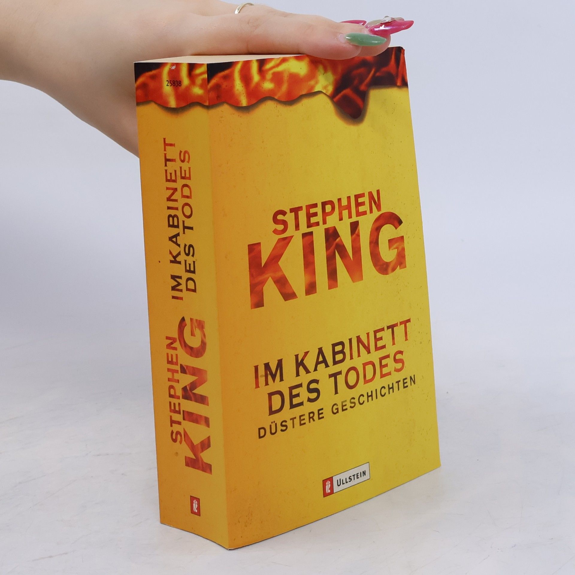 Stephen King Im Kabinett des Todes
