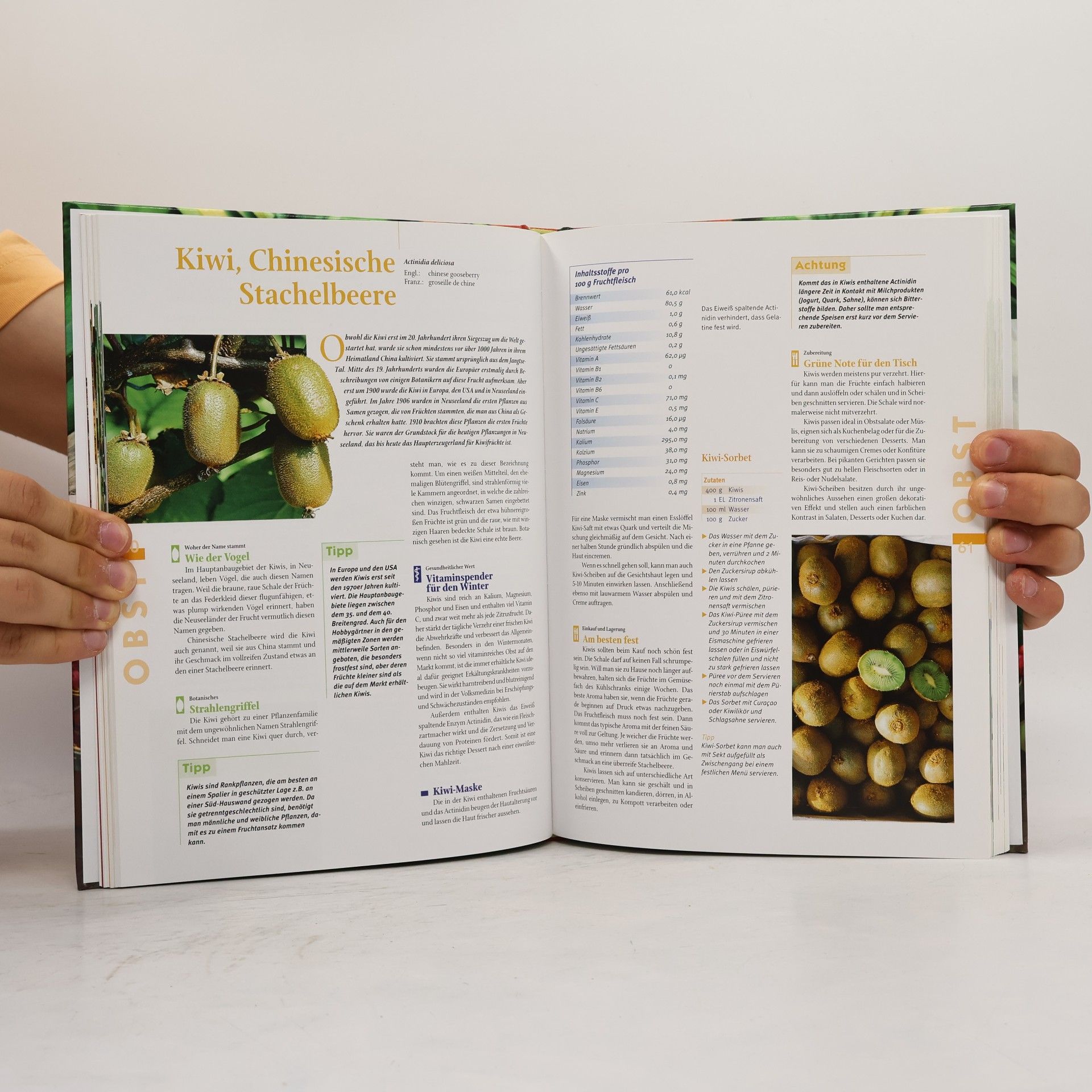 Gabriele Lehari Das große Obst- und Gemüsebuch