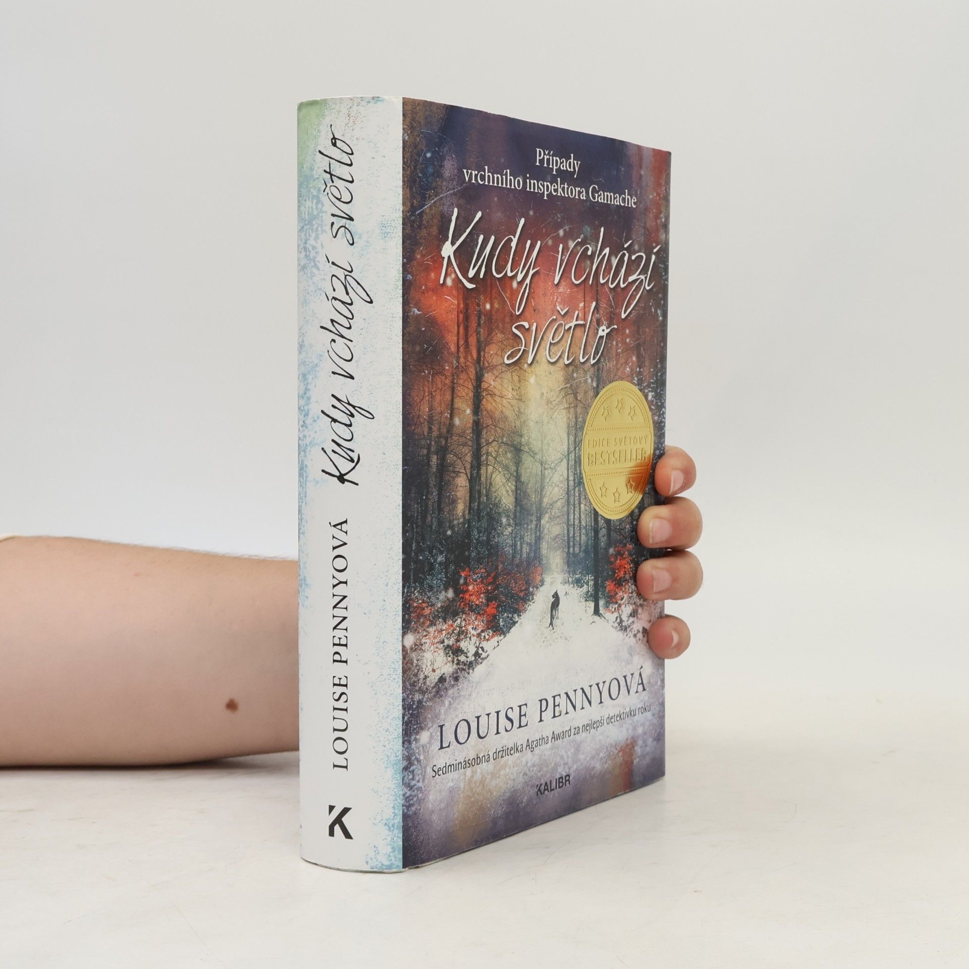 Louise Penny Kudy vchází světlo