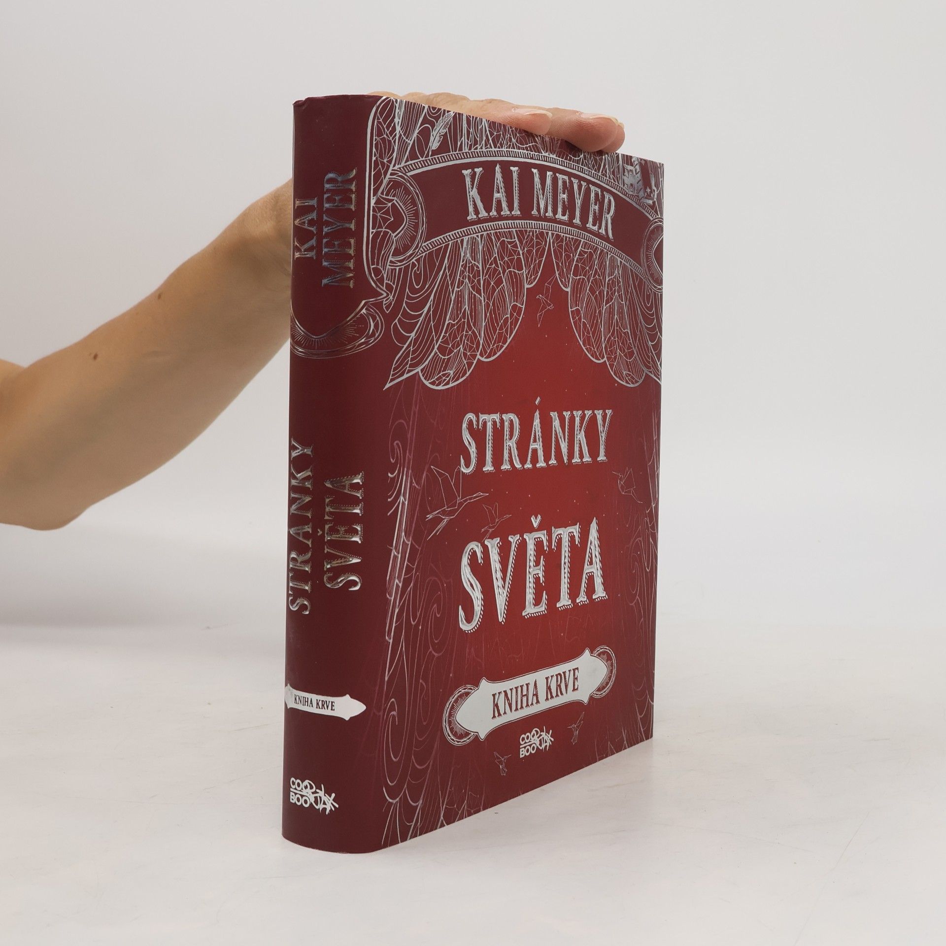 Kai Meyer Stránky světa: Kniha krve