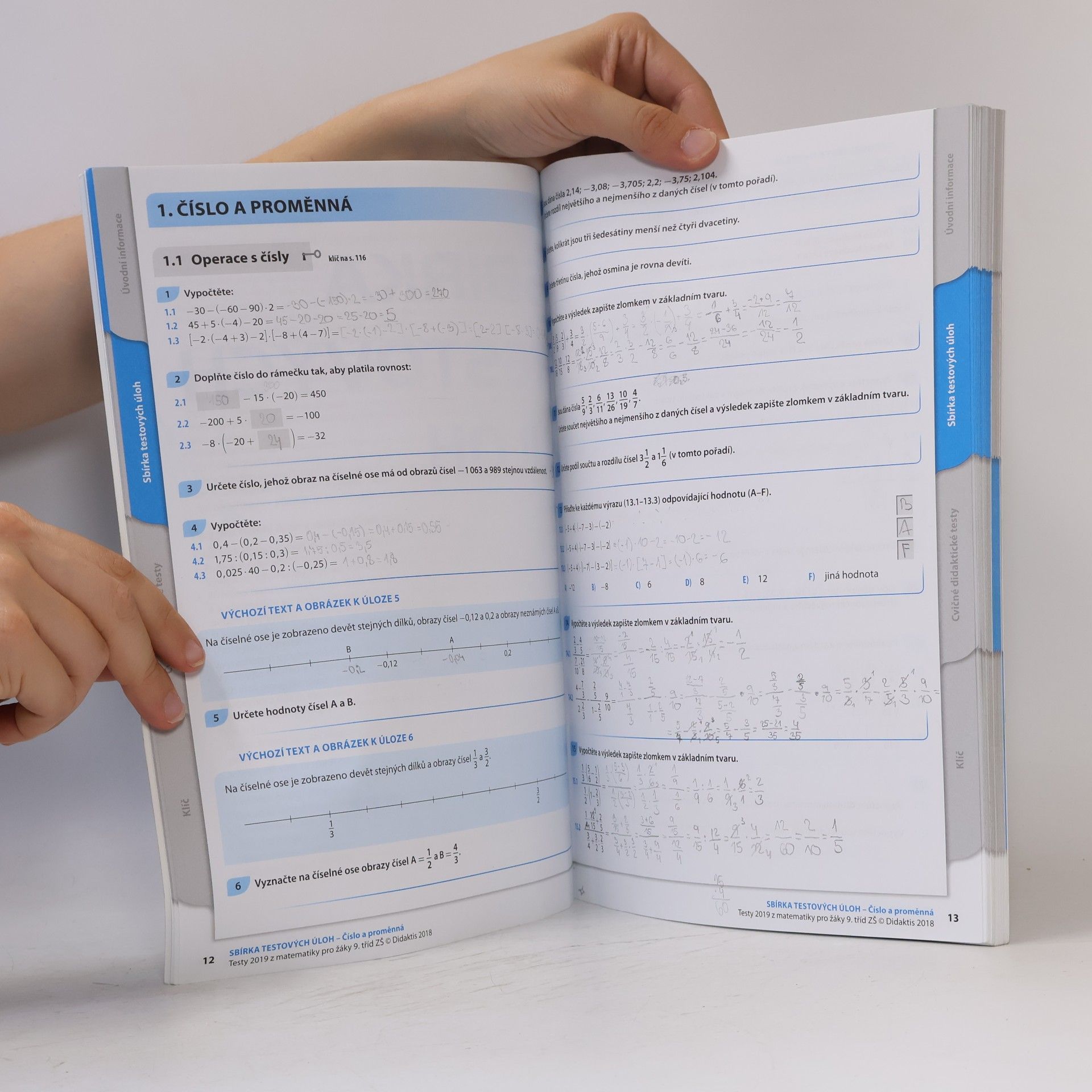 Collectif d'auteurs Testy z matematiky pro žáky 9. tříd ZŠ