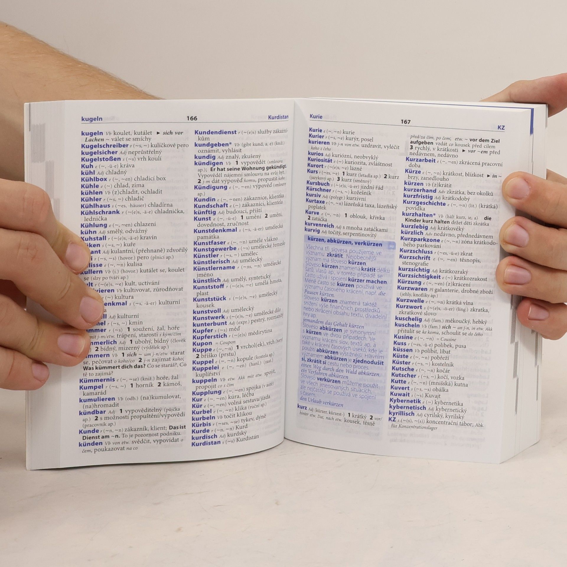 Autorenkollektiv Německo-český, česko-německý šikovný slovník