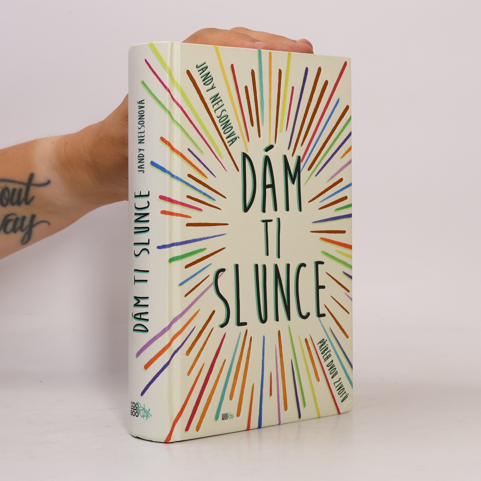 Jandy Nelson Dám ti slunce