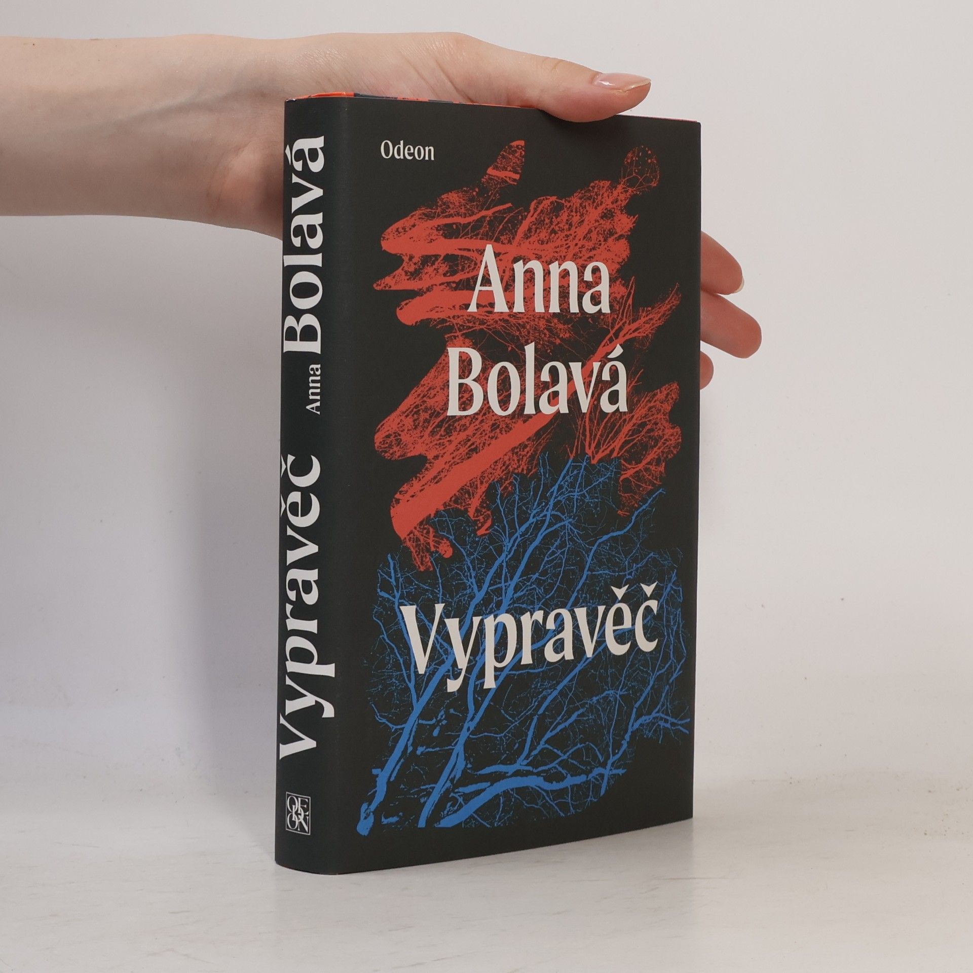 Anna Bolavá Vypravěč