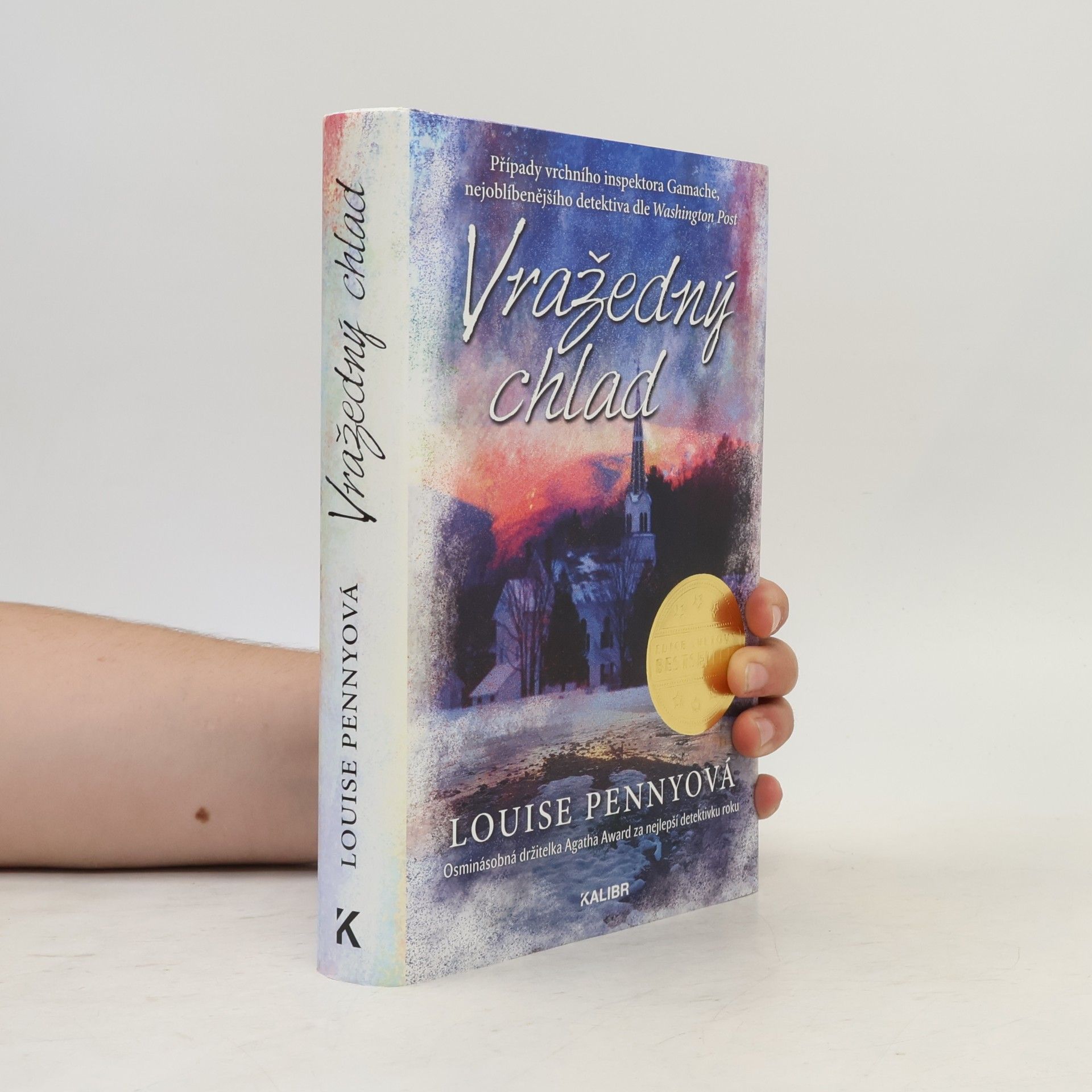 Louise Penny Vražedný chlad