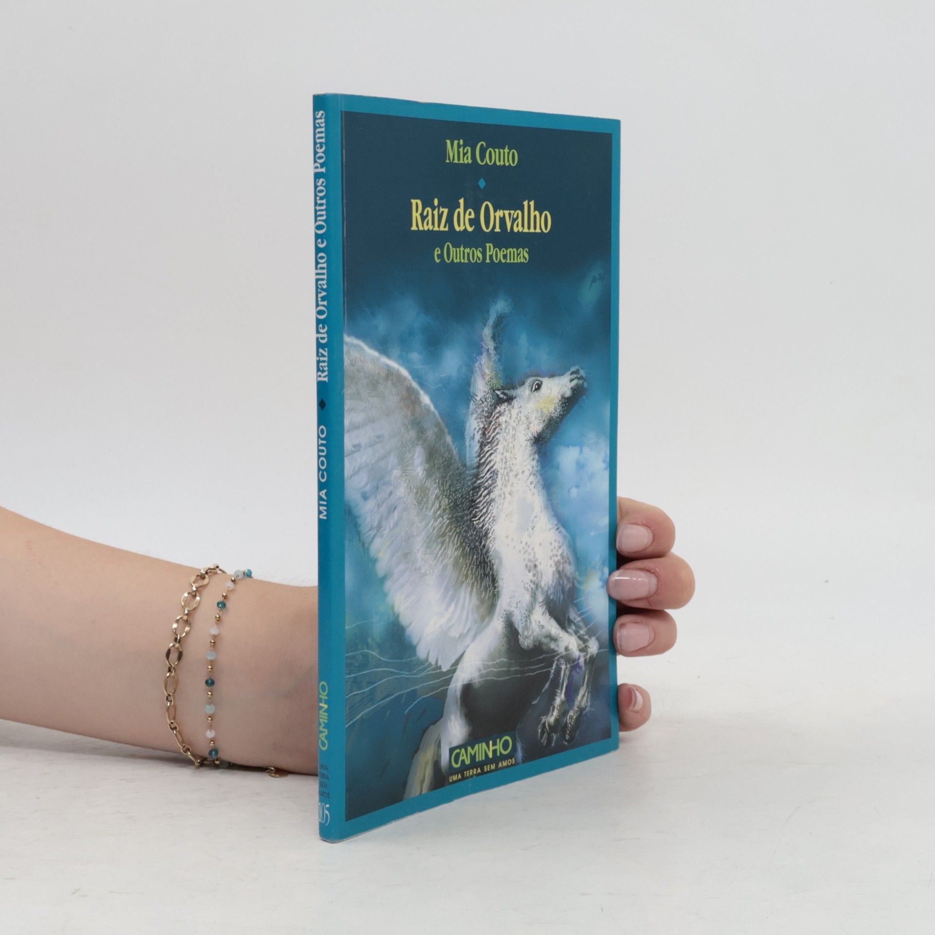Raiz de Orvalho e outros poemas