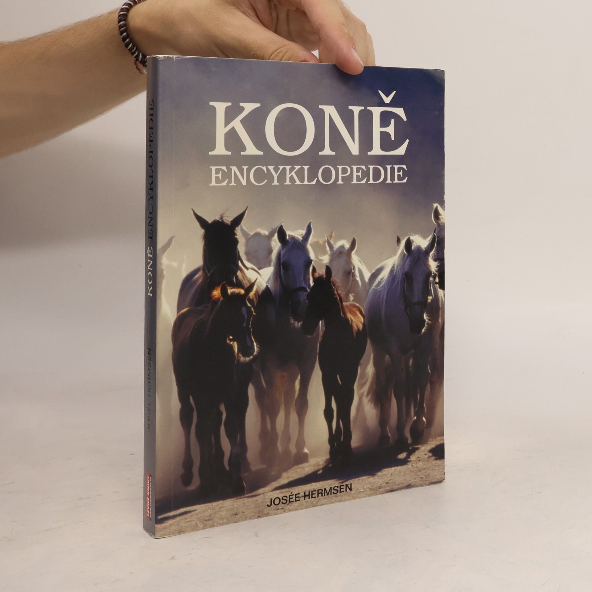 Kateřina Hlavová Koně. Encyklopedie