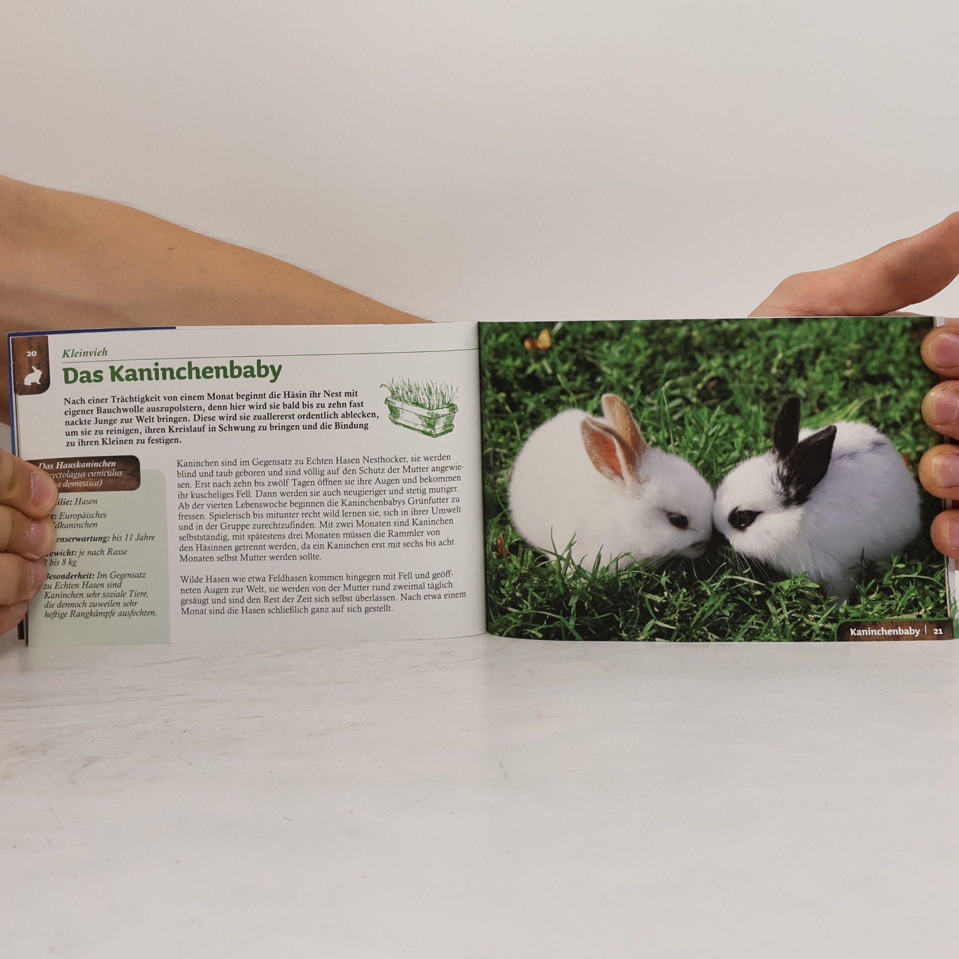 Autorenkollektiv Tierbabys am Bauernhof