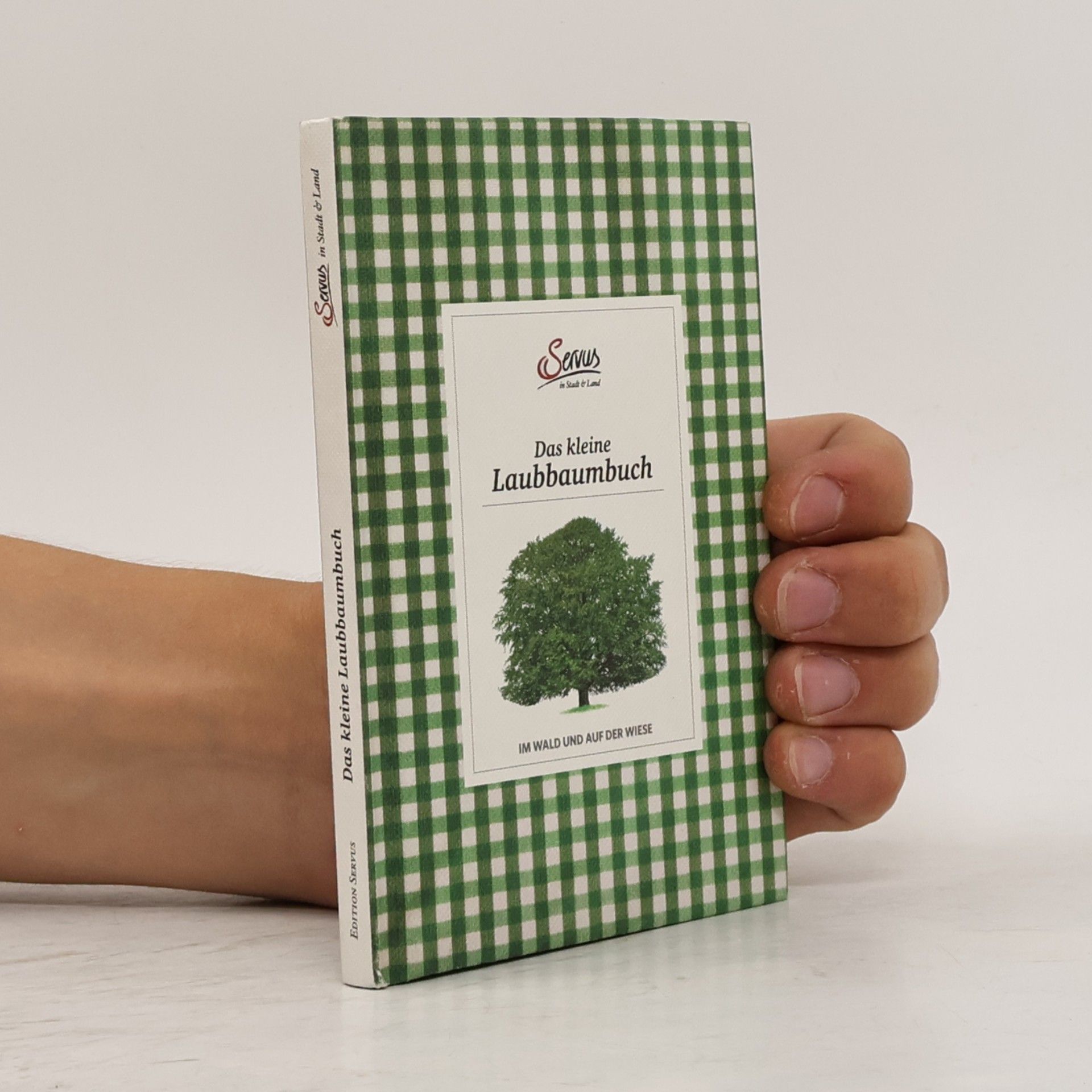 Julia Kospach Das kleine Laubbaumbuch