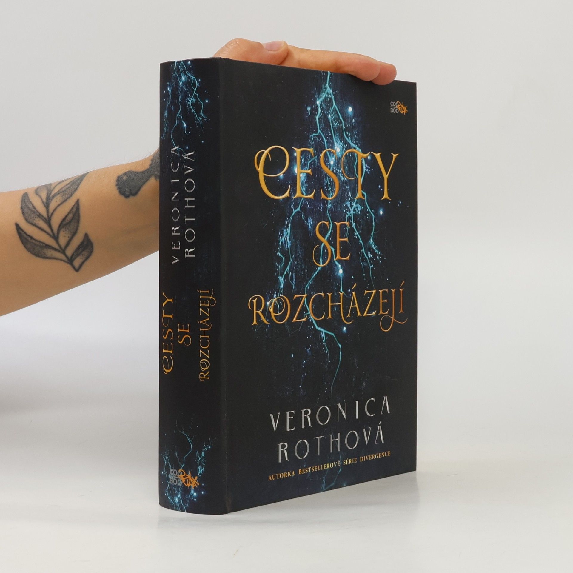 Veronica Roth Cesty se rozcházejí