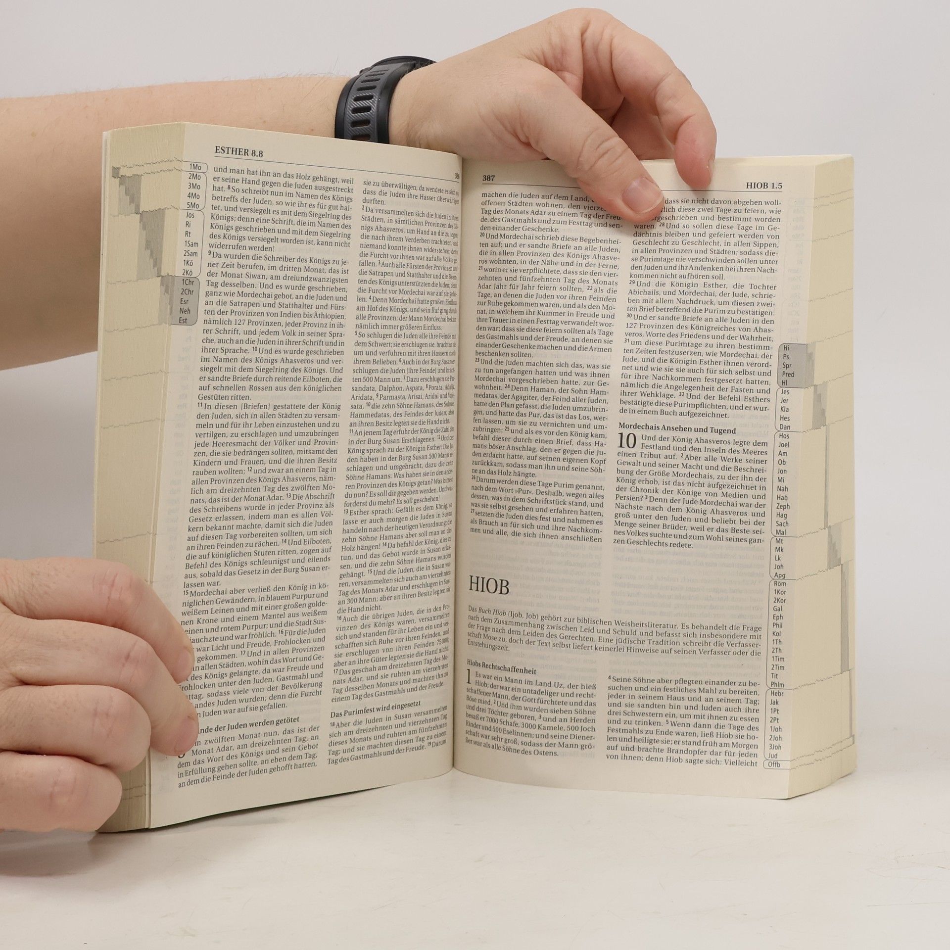 Autores varios Die Bibel