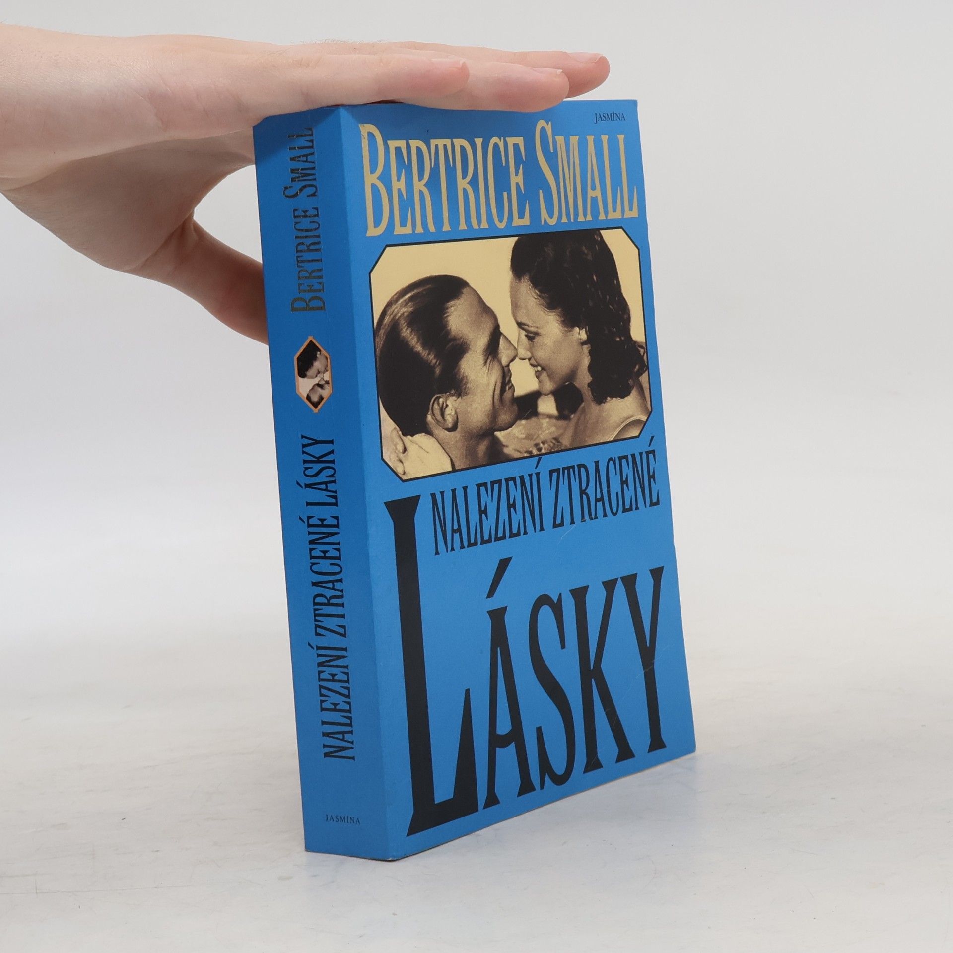 Bertrice Small Nalezení ztracené lásky